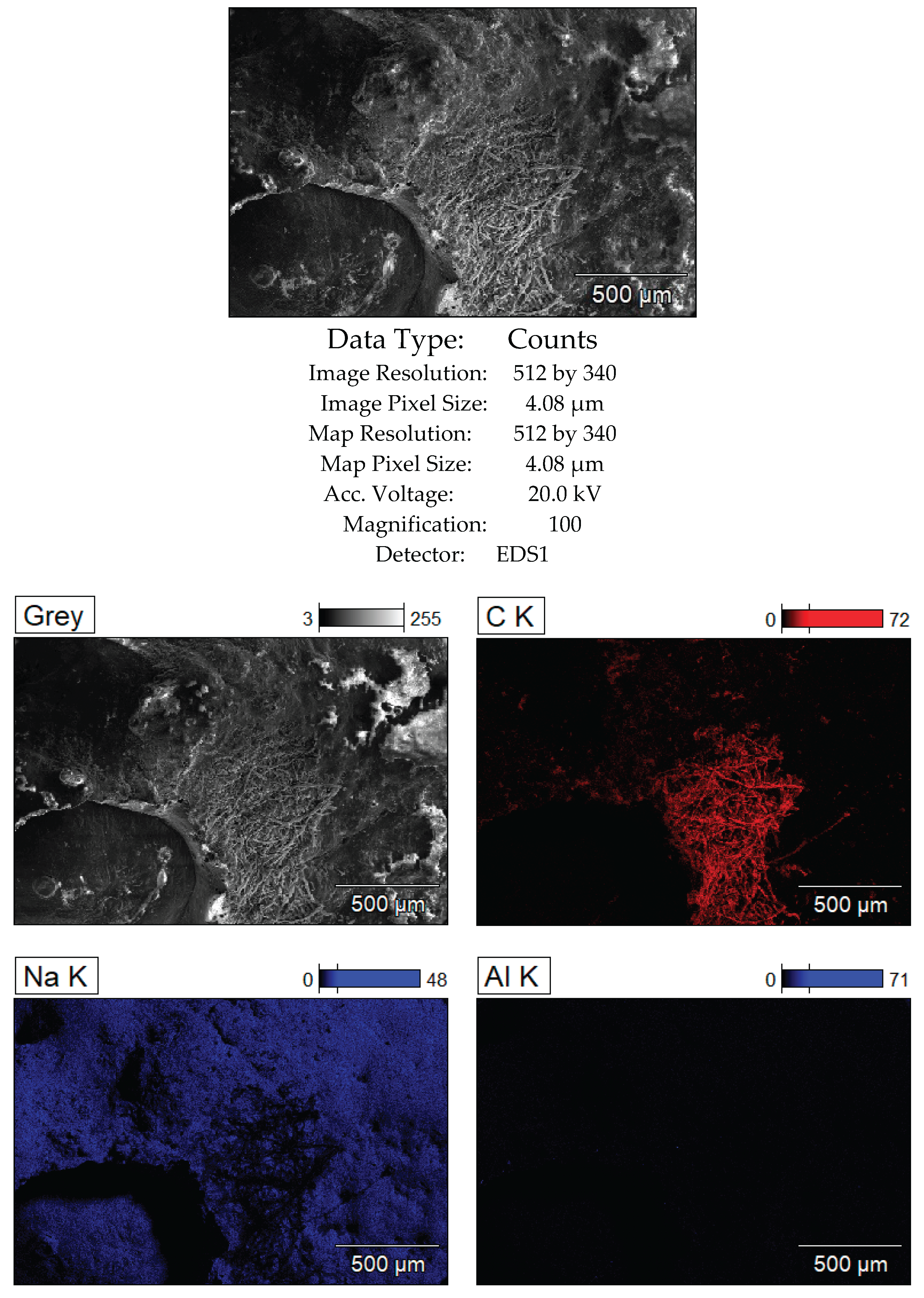 Preprints 167459 g015a