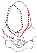 Preprints 210114 i002