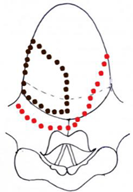 Preprints 210114 i035