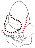 Preprints 210114 i043