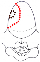 Preprints 210114 i046