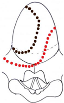 Preprints 210114 i048