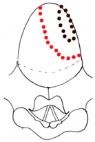 Preprints 210114 i054