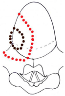 Preprints 210114 i058