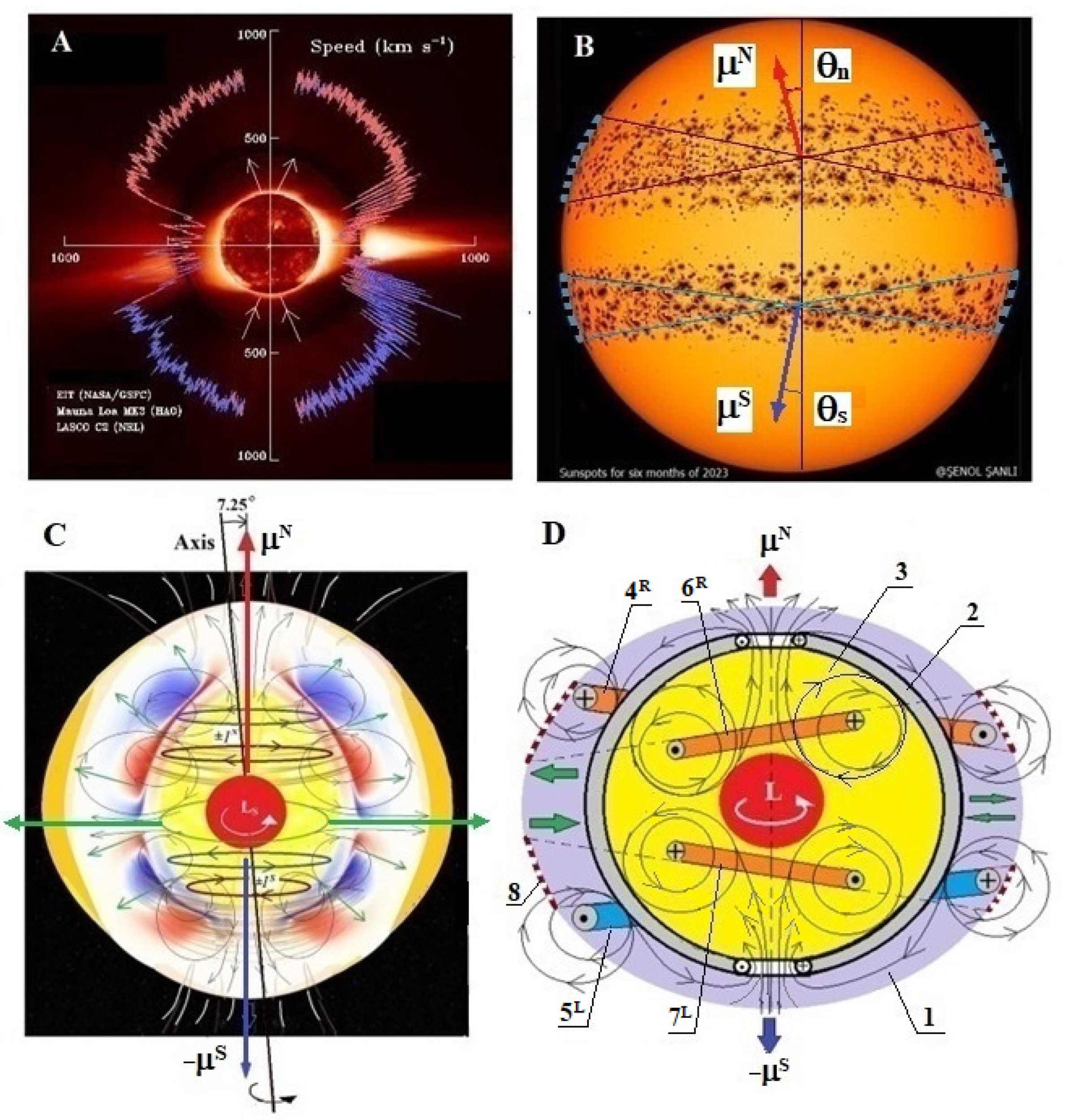 Preprints 156740 g003