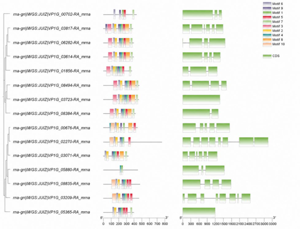 Preprints 220328 g001 Preprints 220328 g001