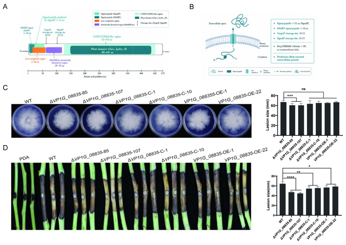 Preprints 220328 g006 Preprints 220328 g006
