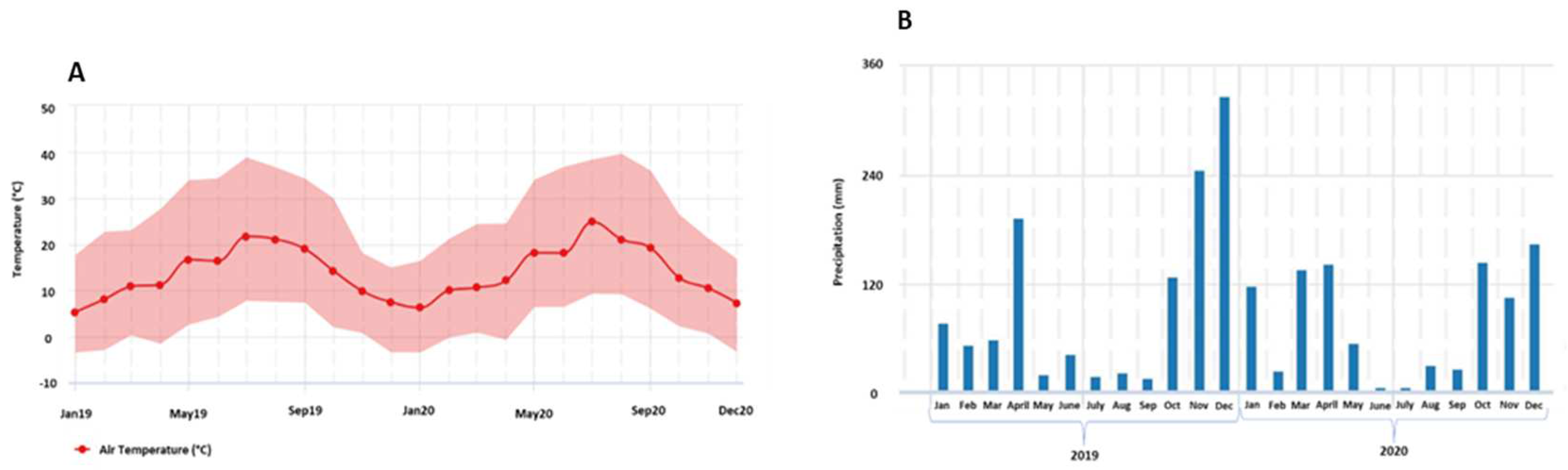 Preprints 82205 g001