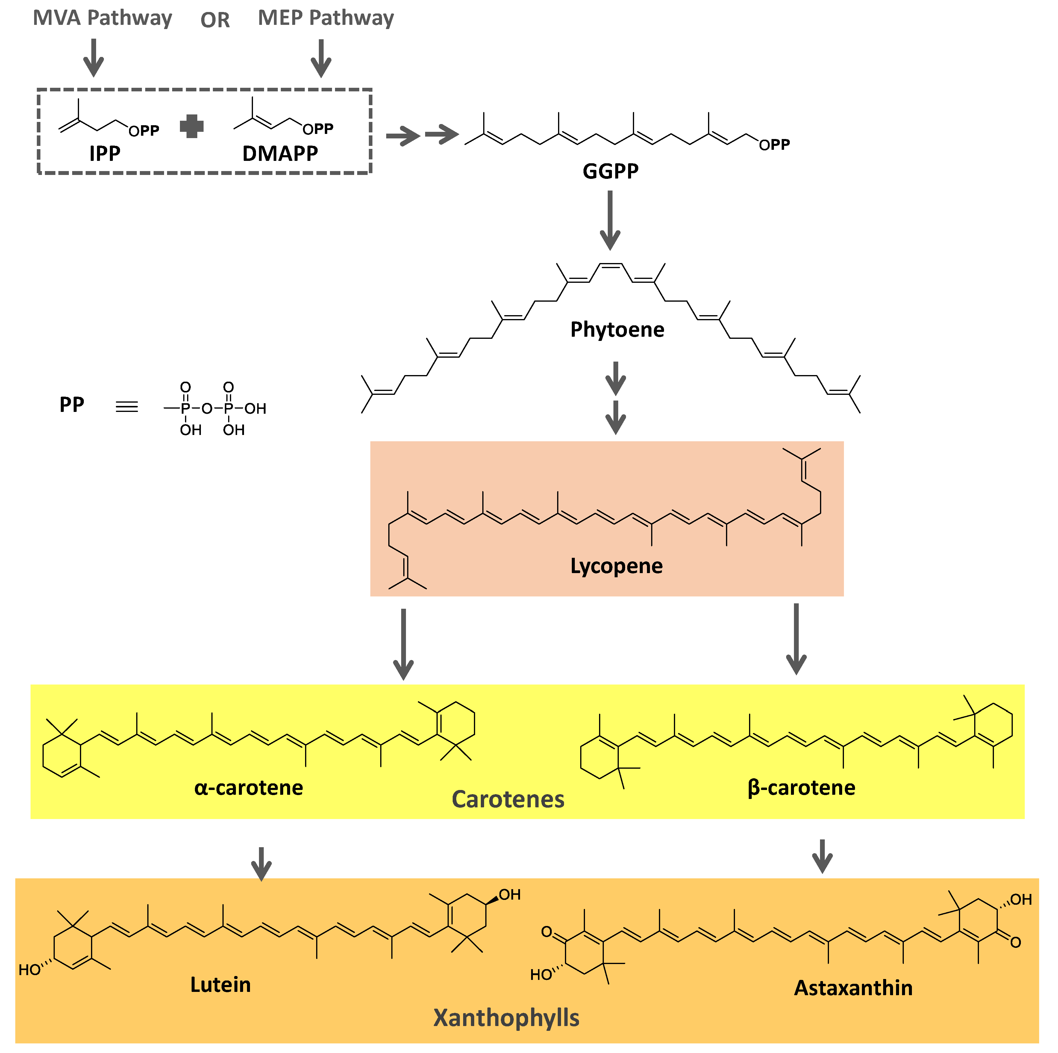 Preprints 86812 g002