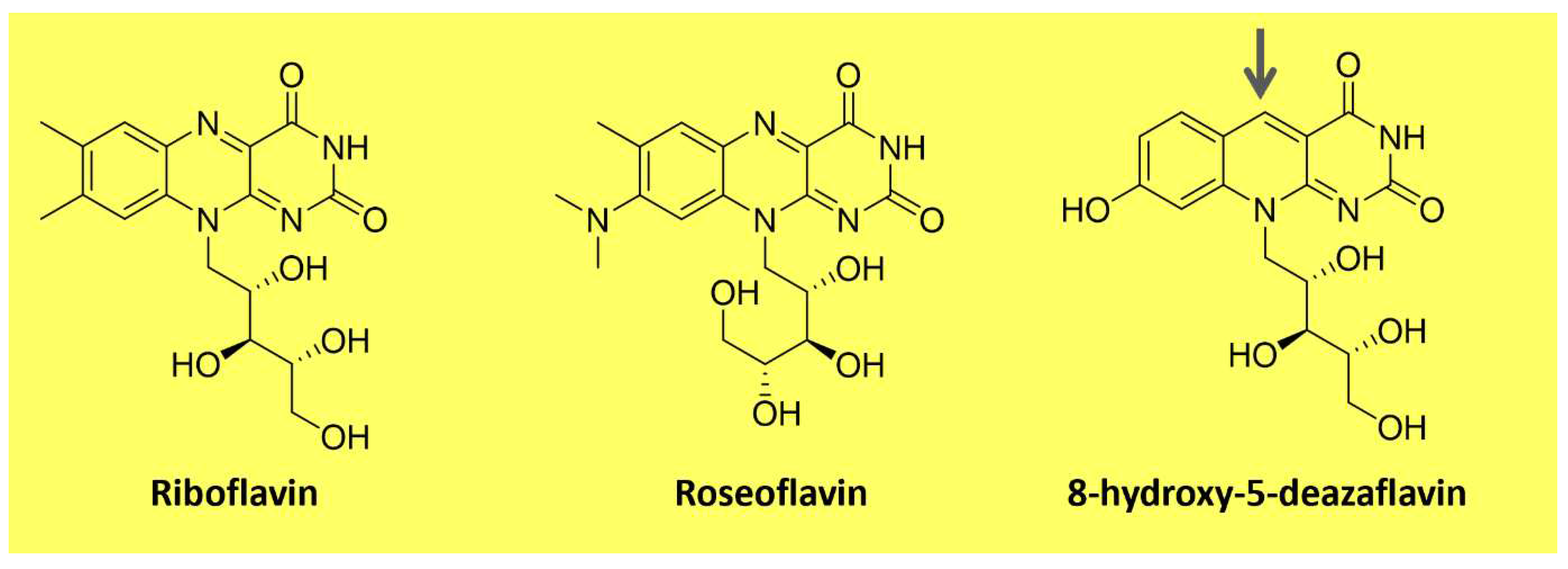 Preprints 86812 g003