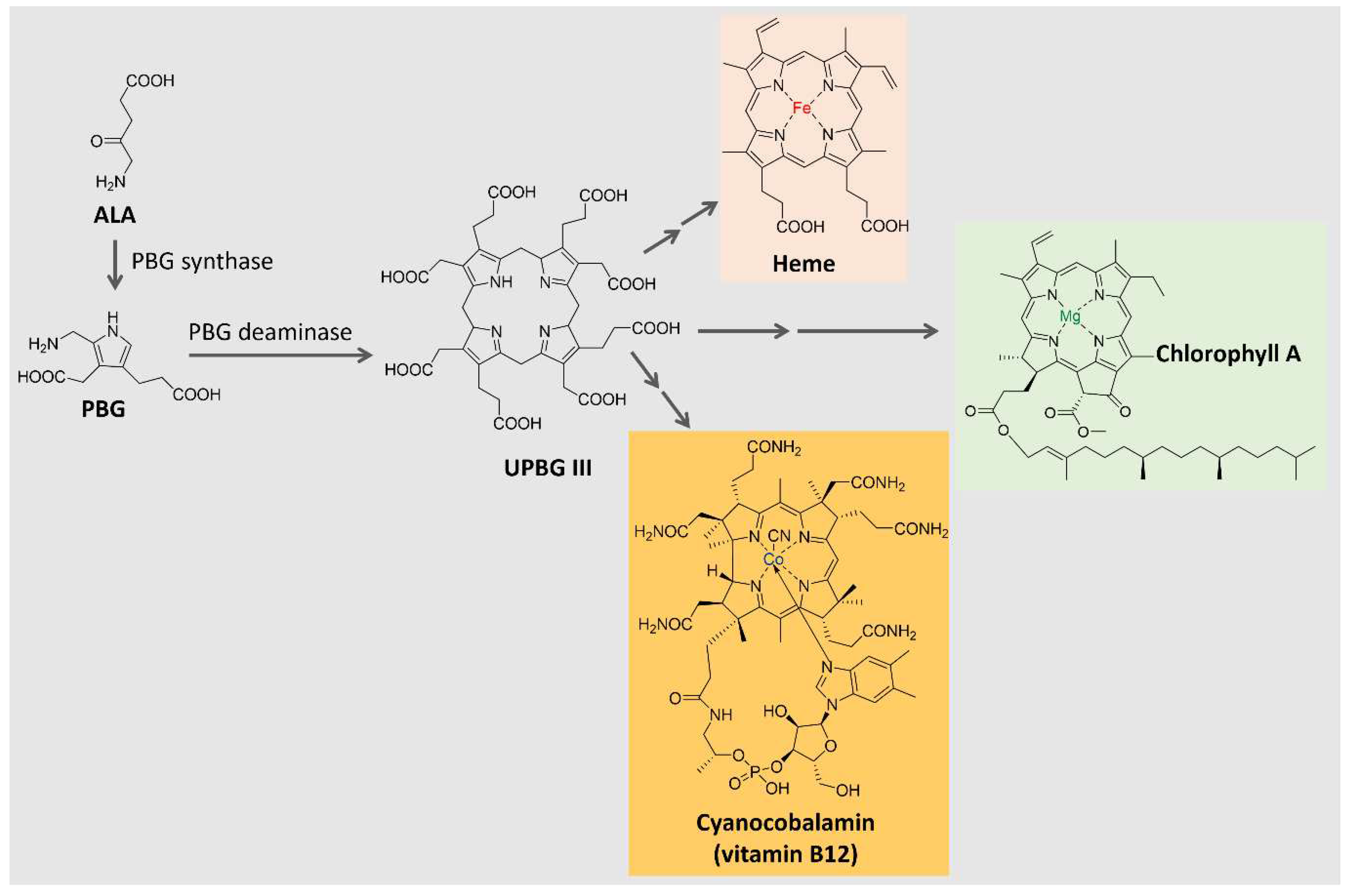 Preprints 86812 g005