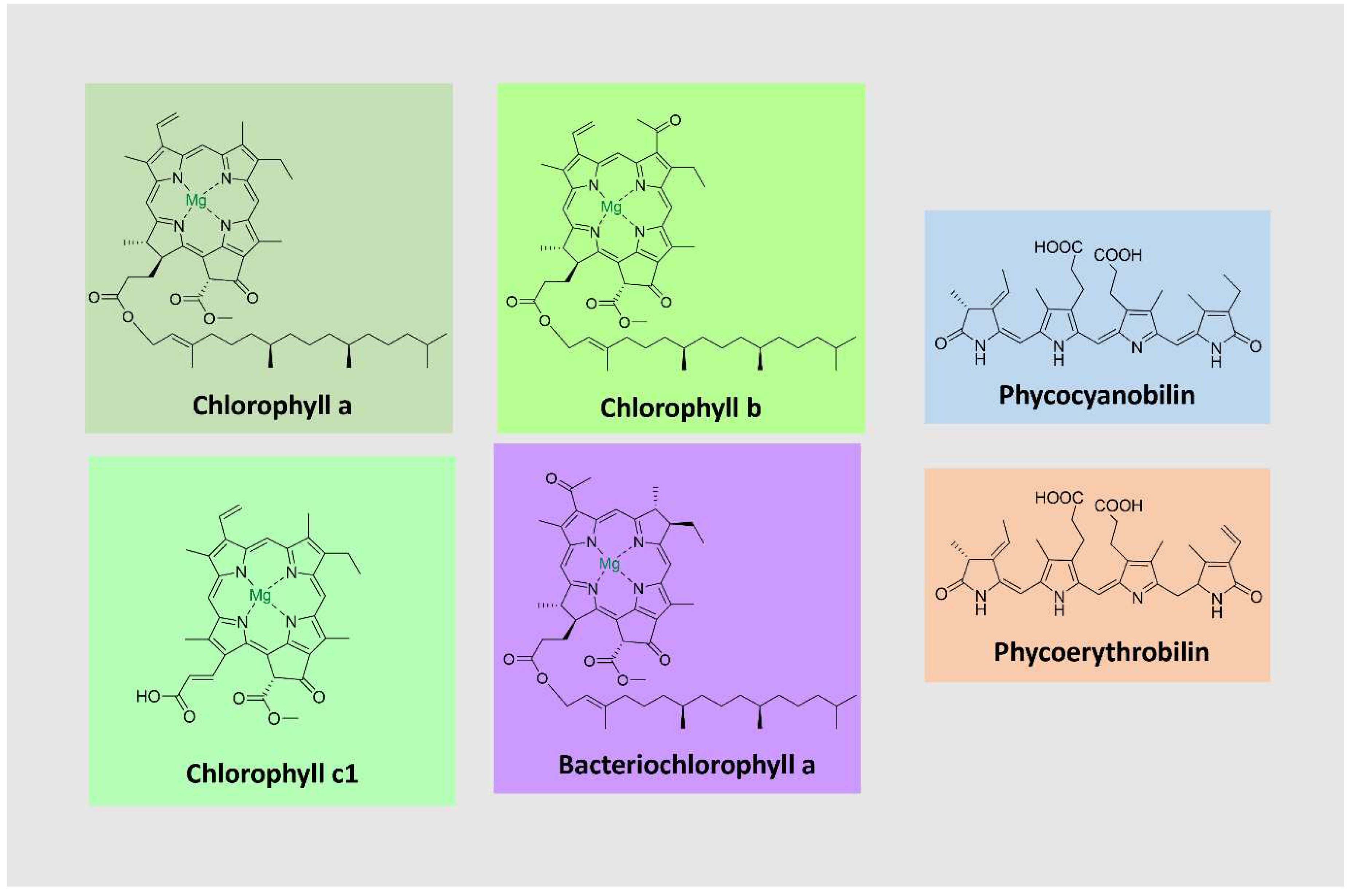 Preprints 86812 g006