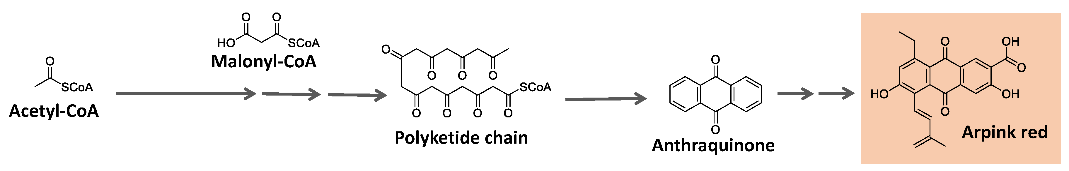 Preprints 86812 g010