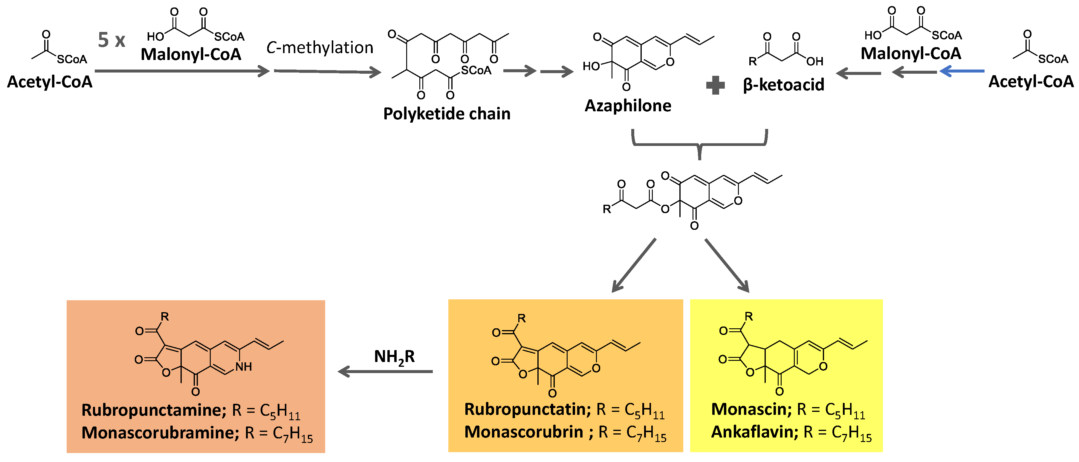 Preprints 86812 g011