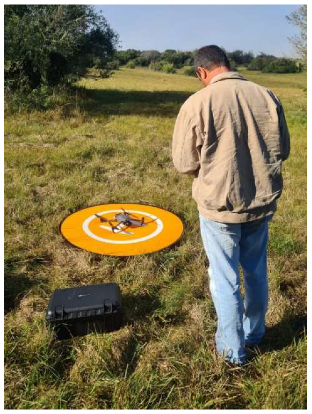 Preprints 140989 g003