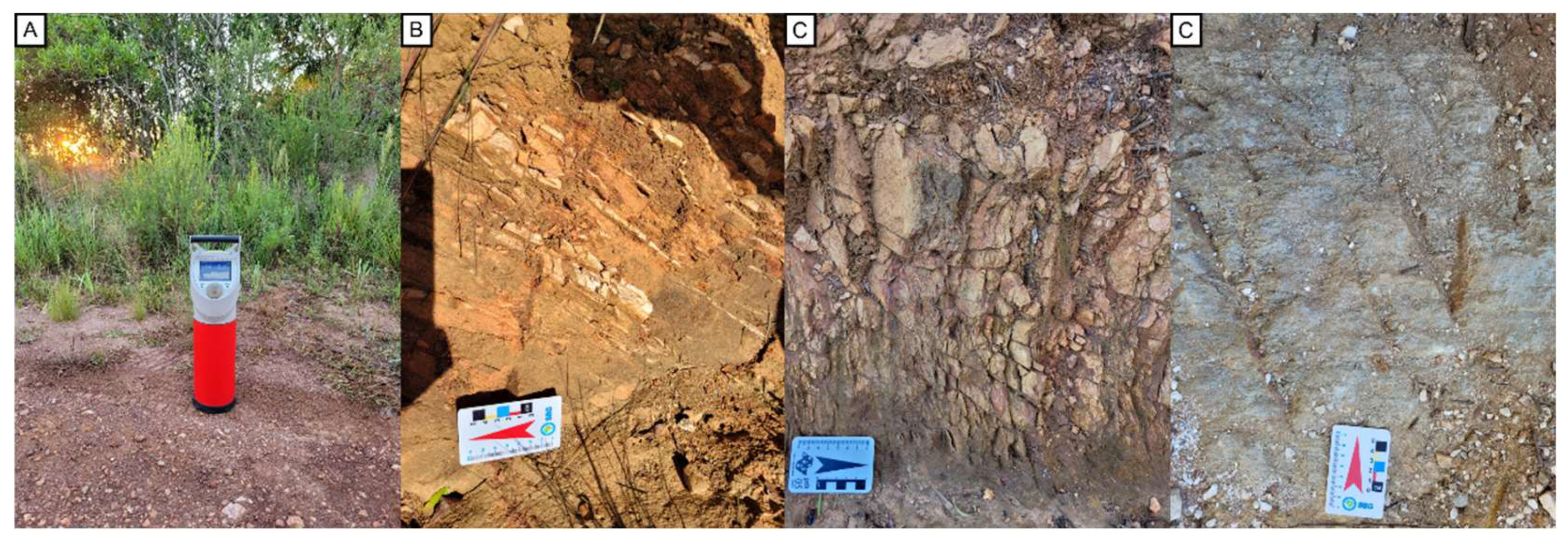 Preprints 140989 g004