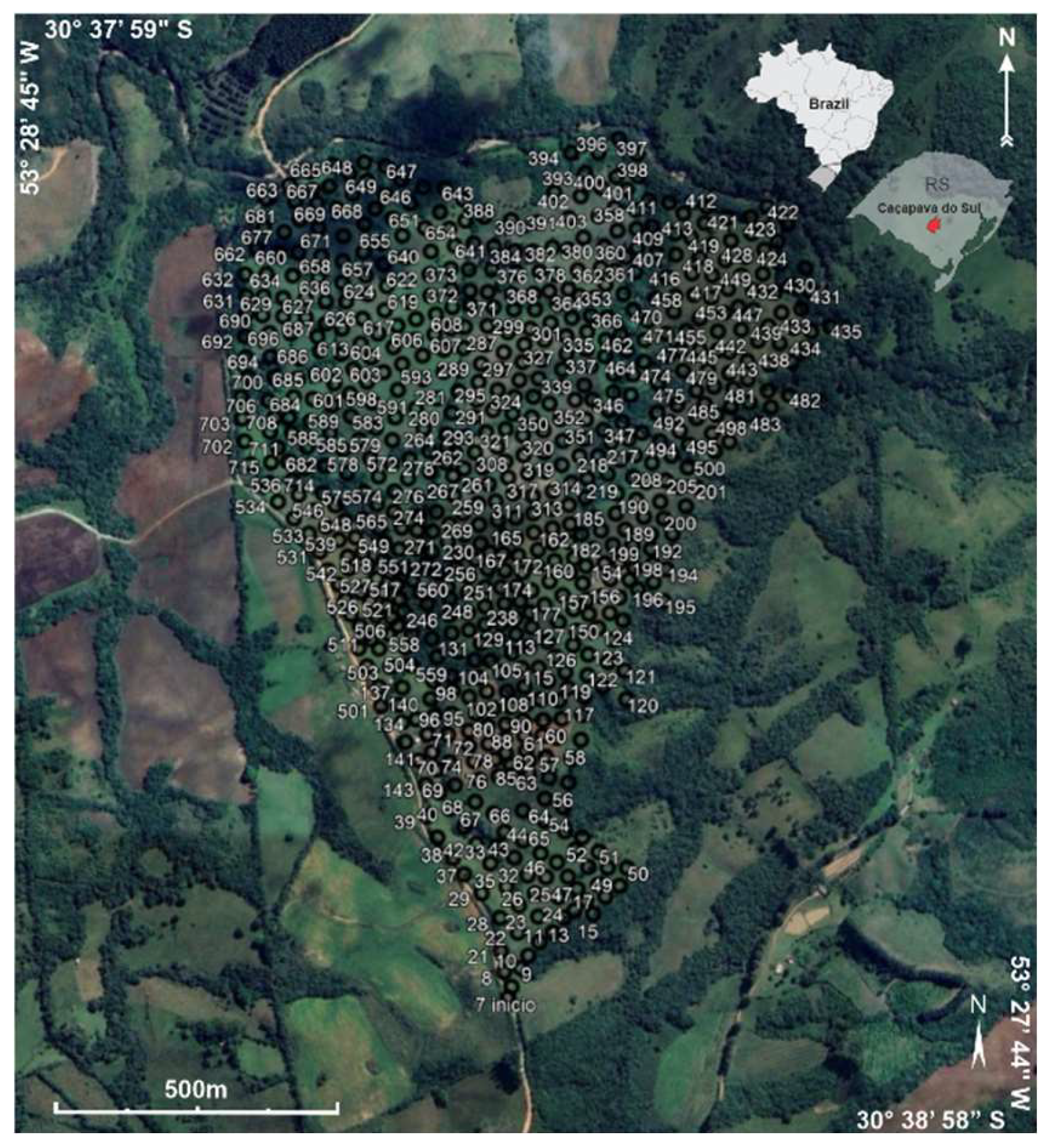 Preprints 140989 g006