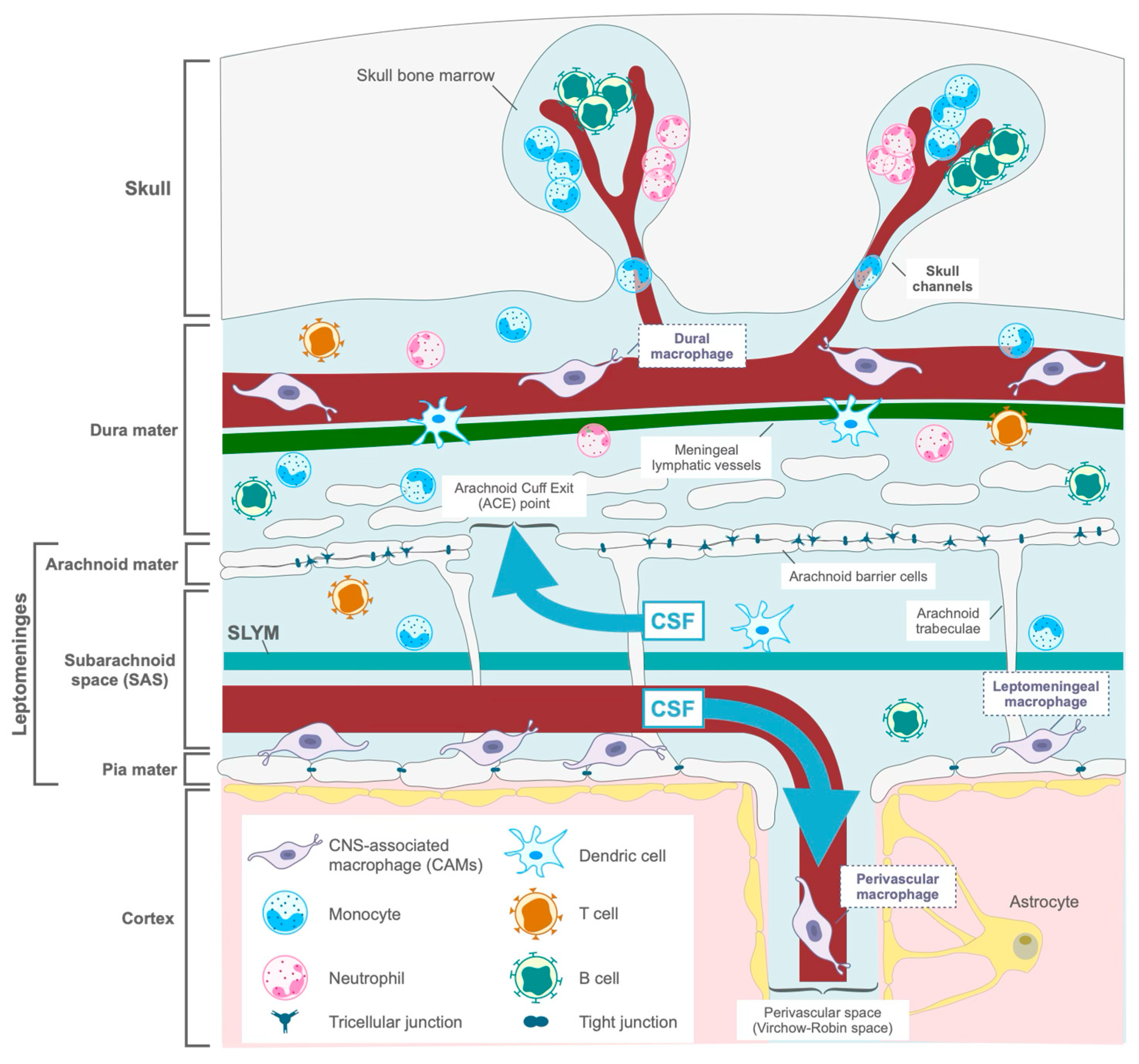 Preprints 149888 g001