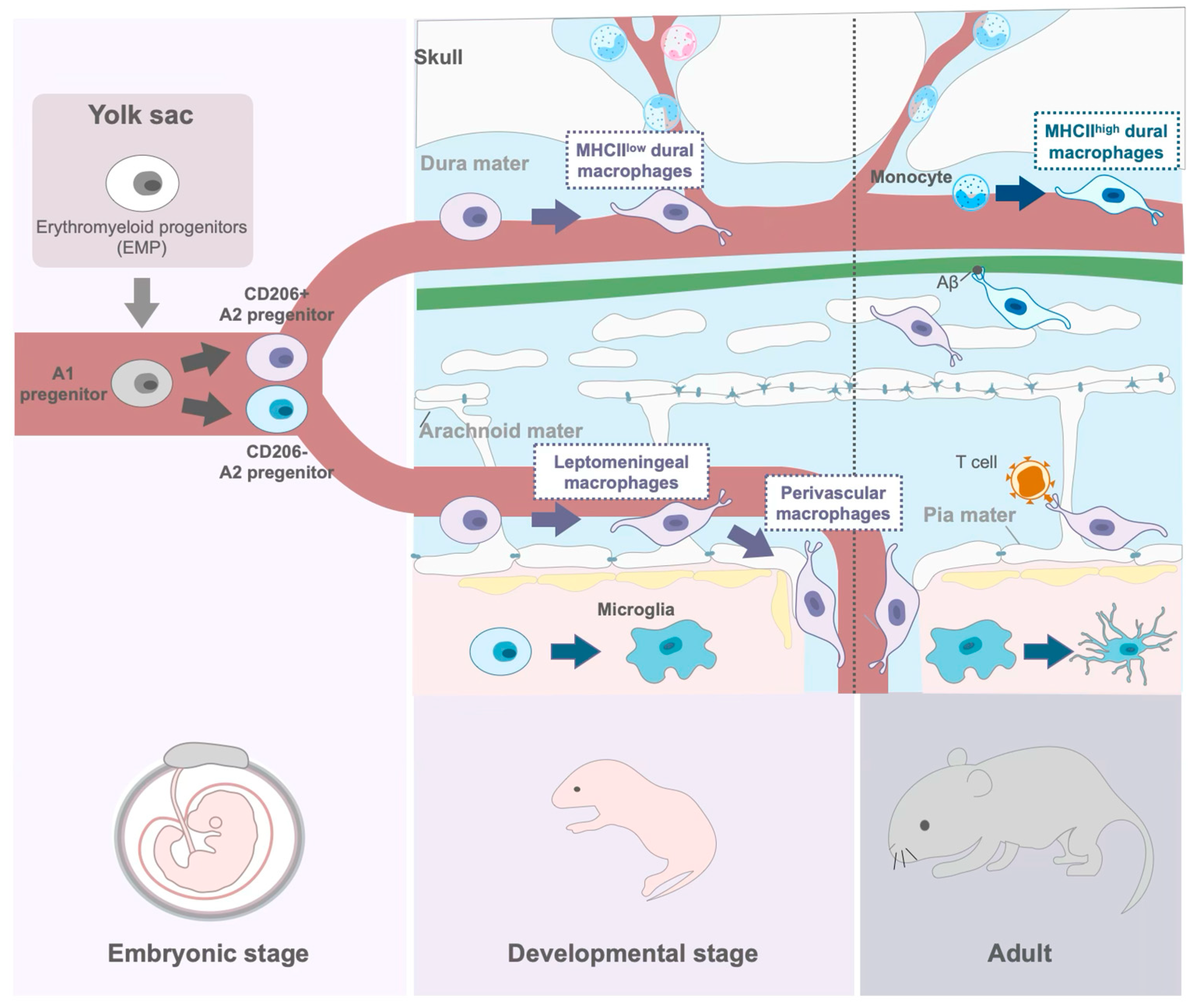 Preprints 149888 g002