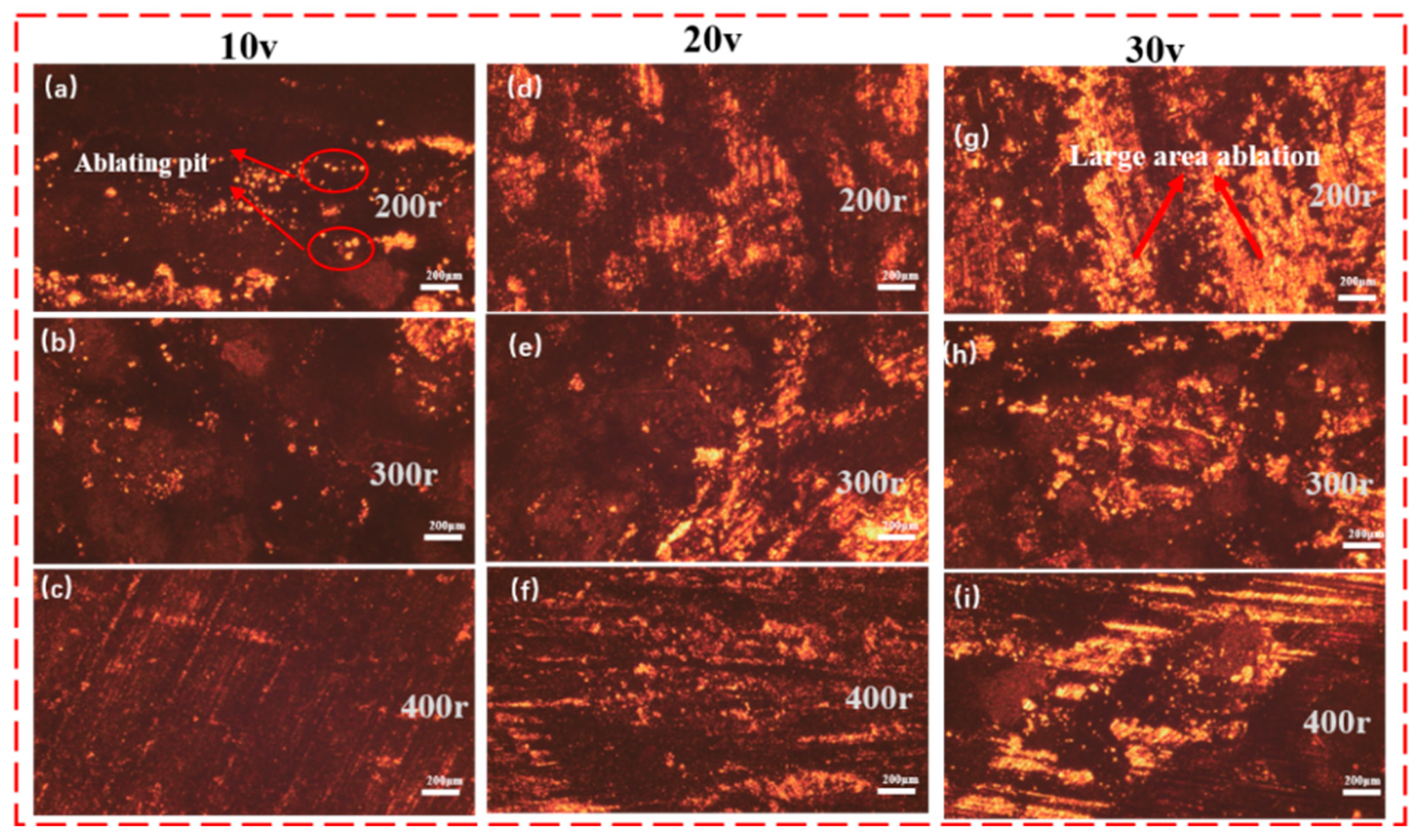 Preprints 140432 g012