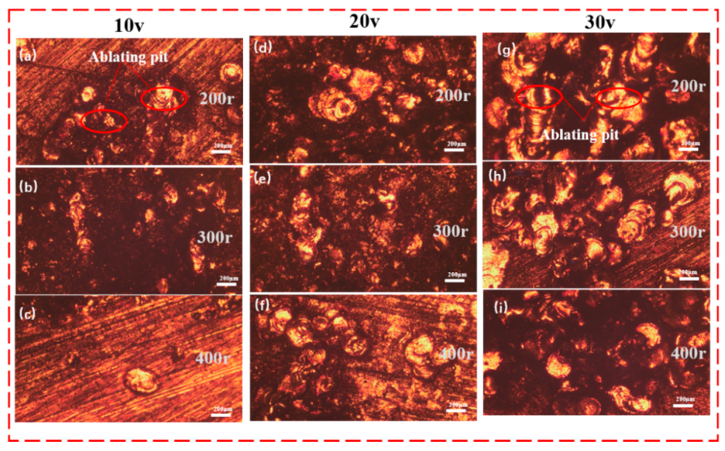 Preprints 140432 g013
