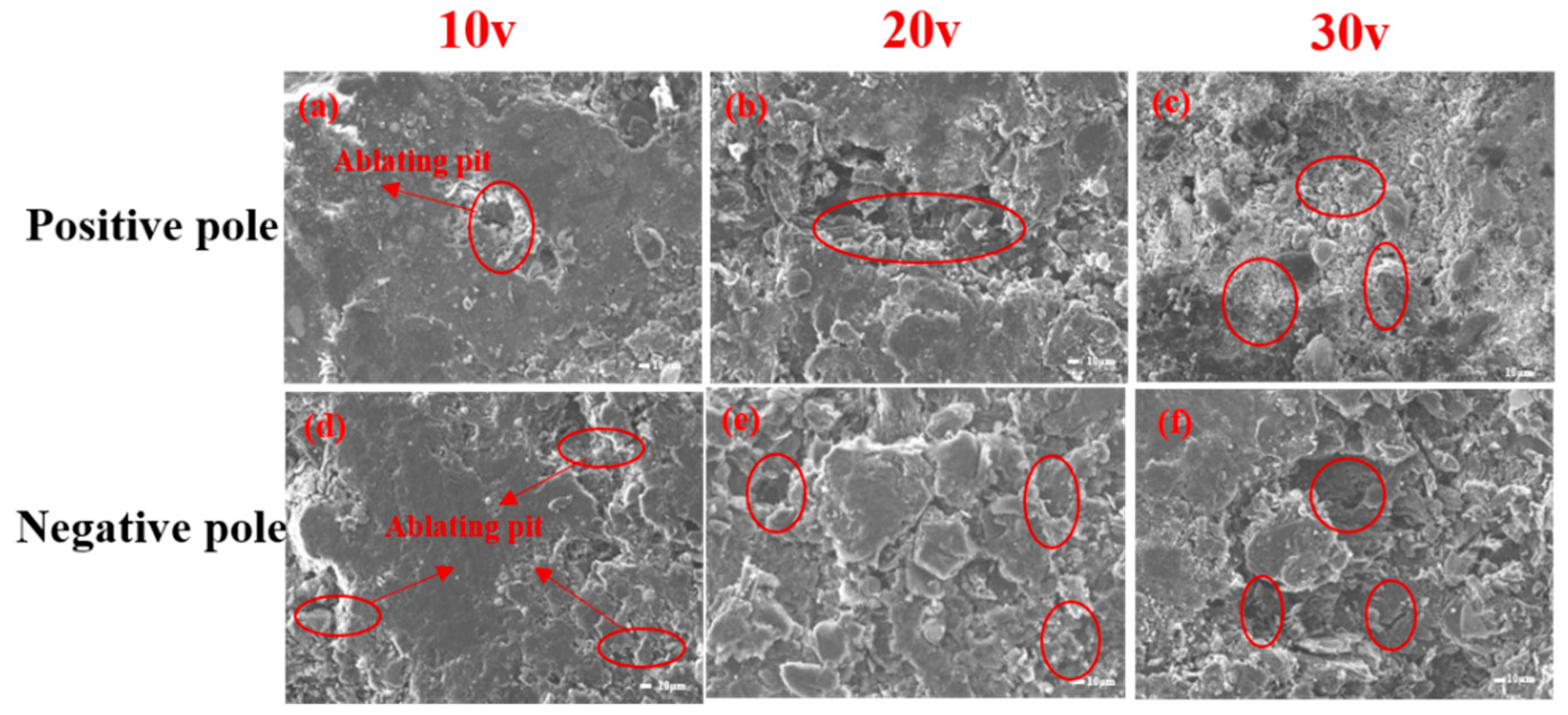 Preprints 140432 g014