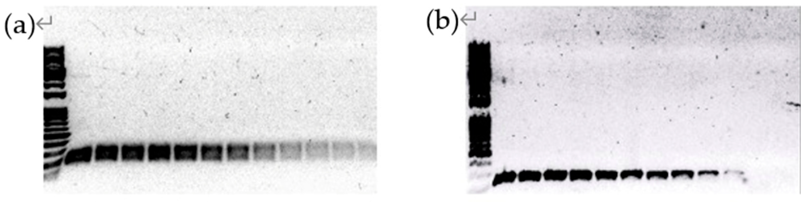 Preprints 96548 g002