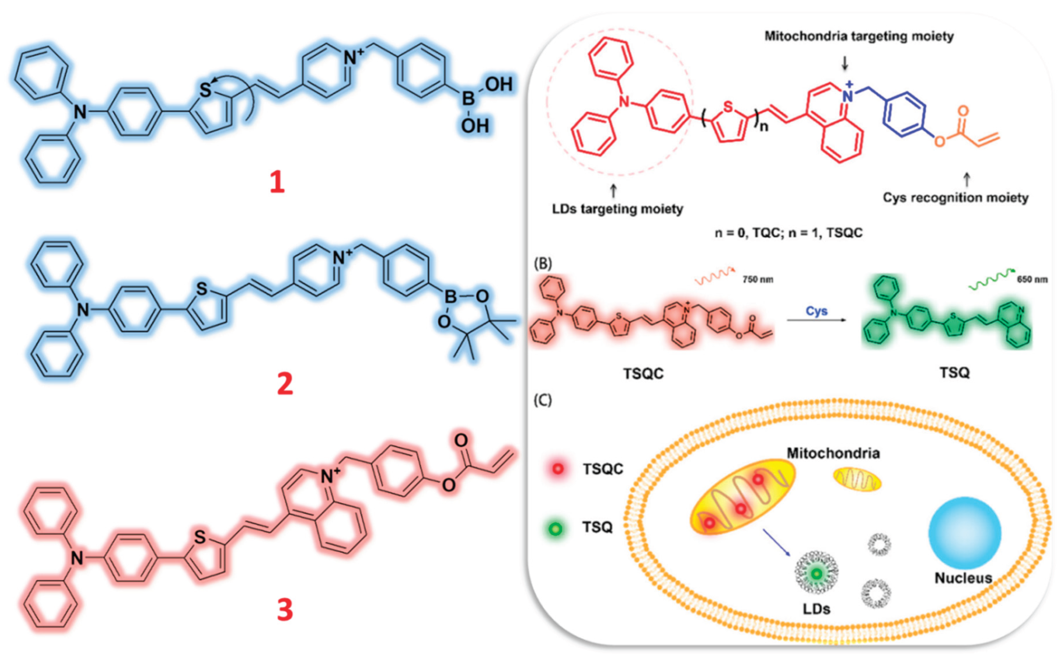 Preprints 166557 g001