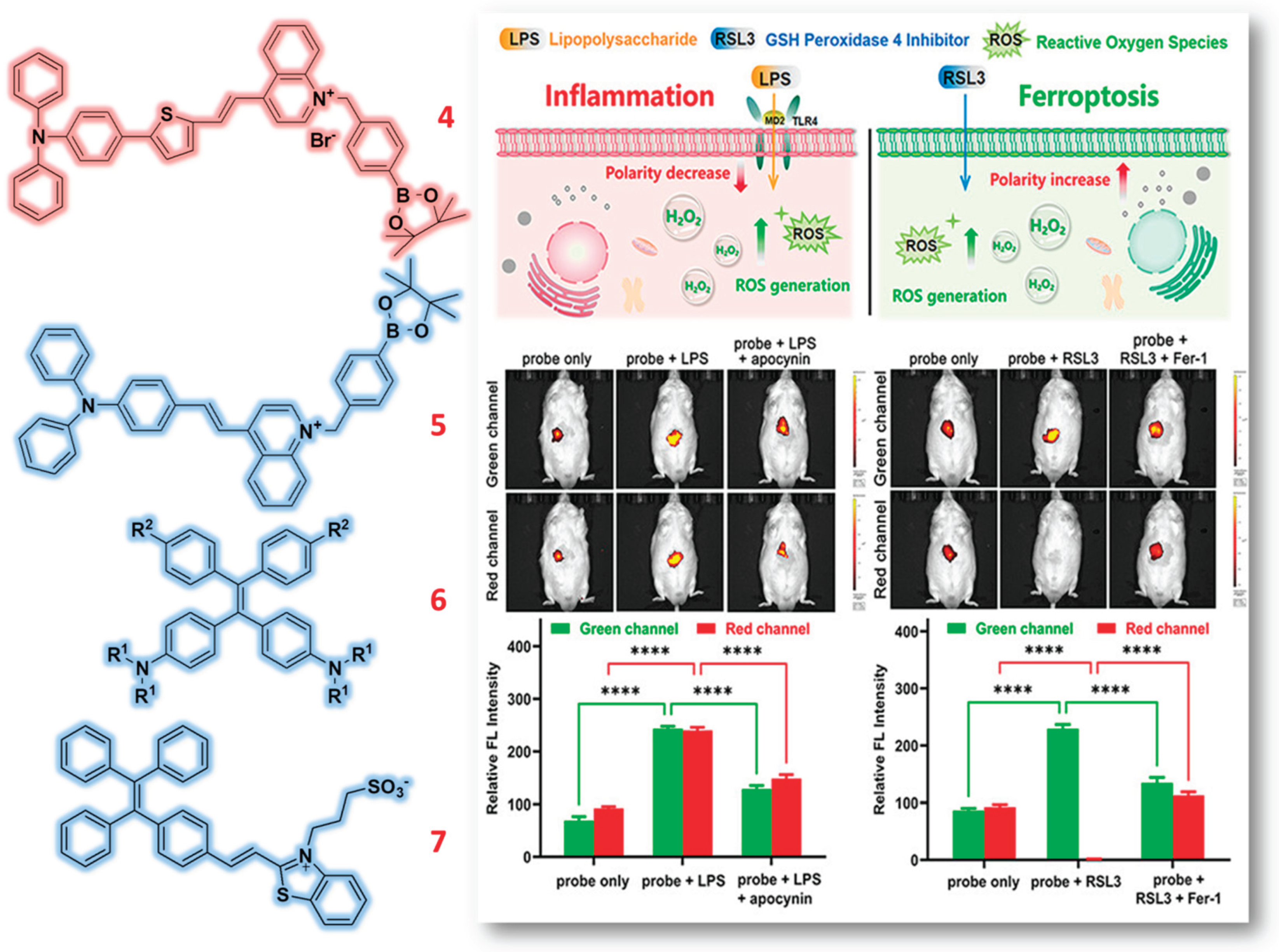 Preprints 166557 g002