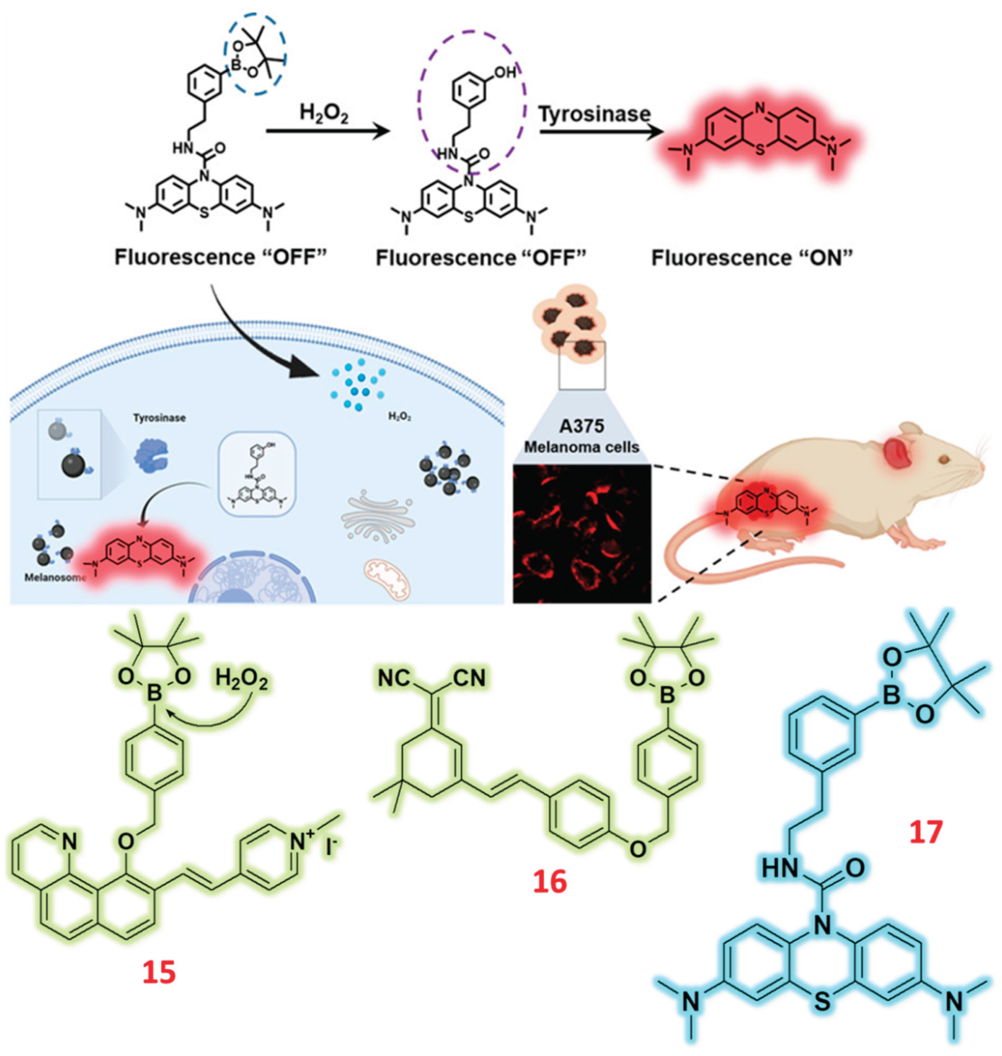 Preprints 166557 g005
