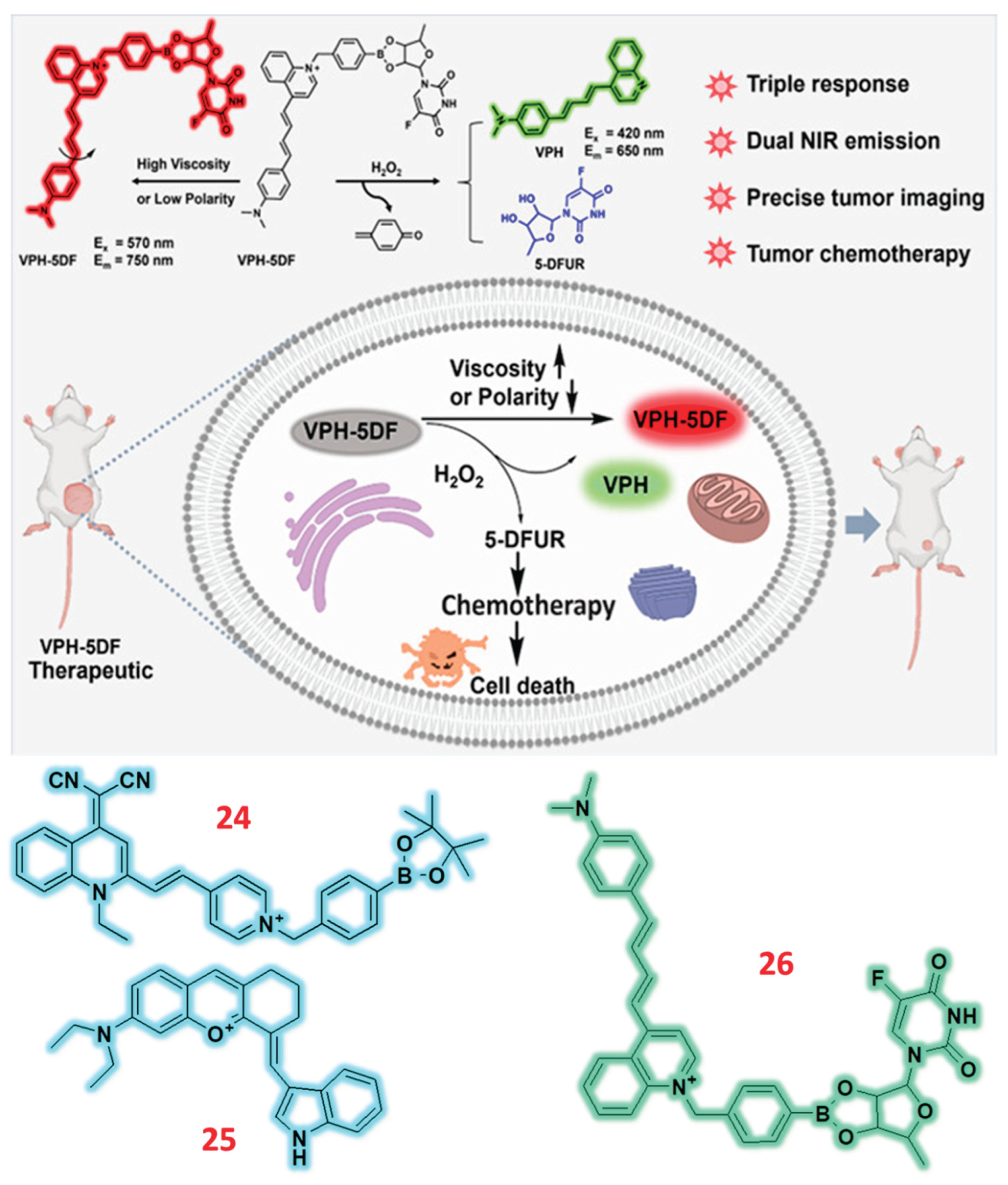 Preprints 166557 g008