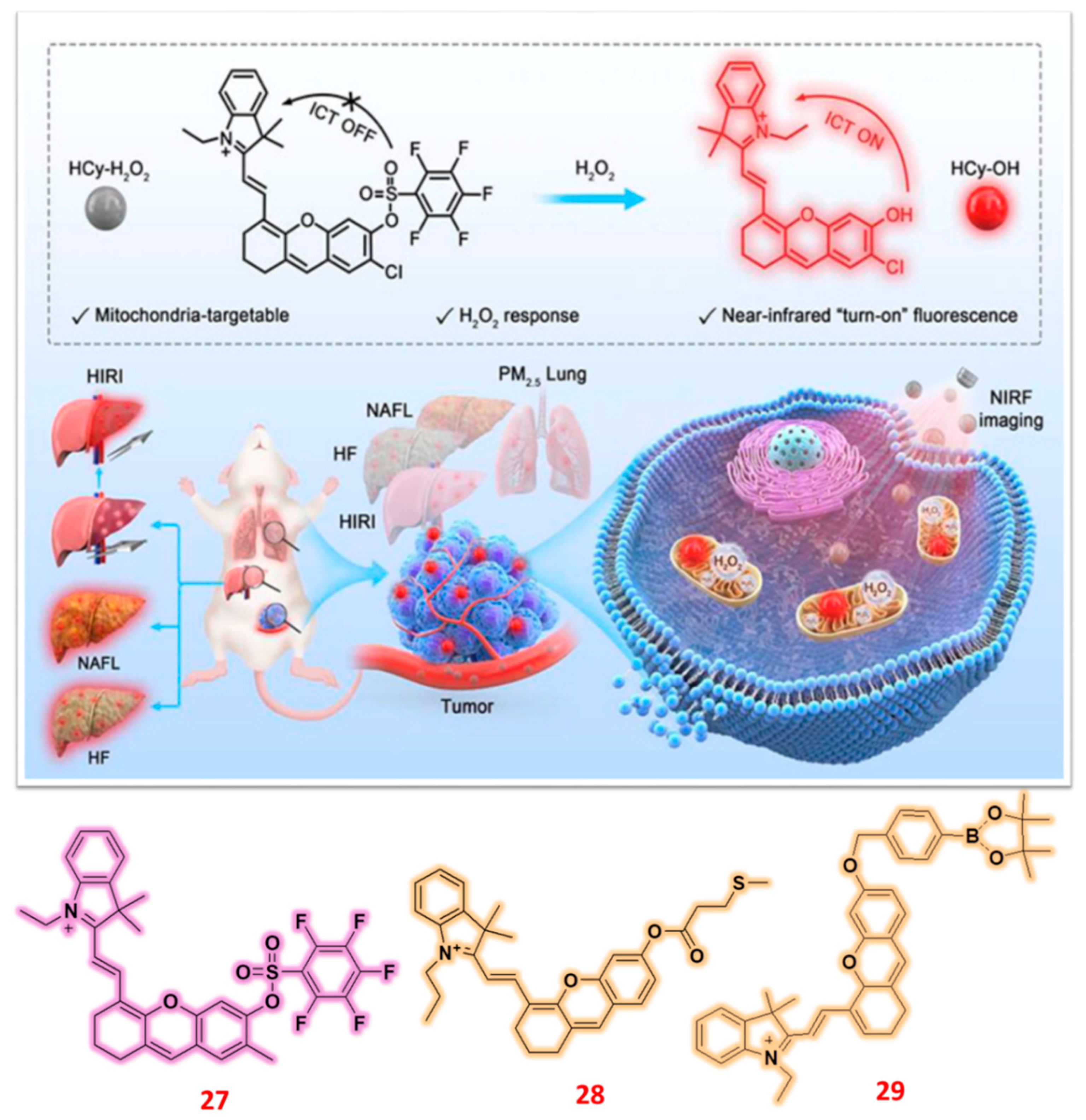 Preprints 166557 g009
