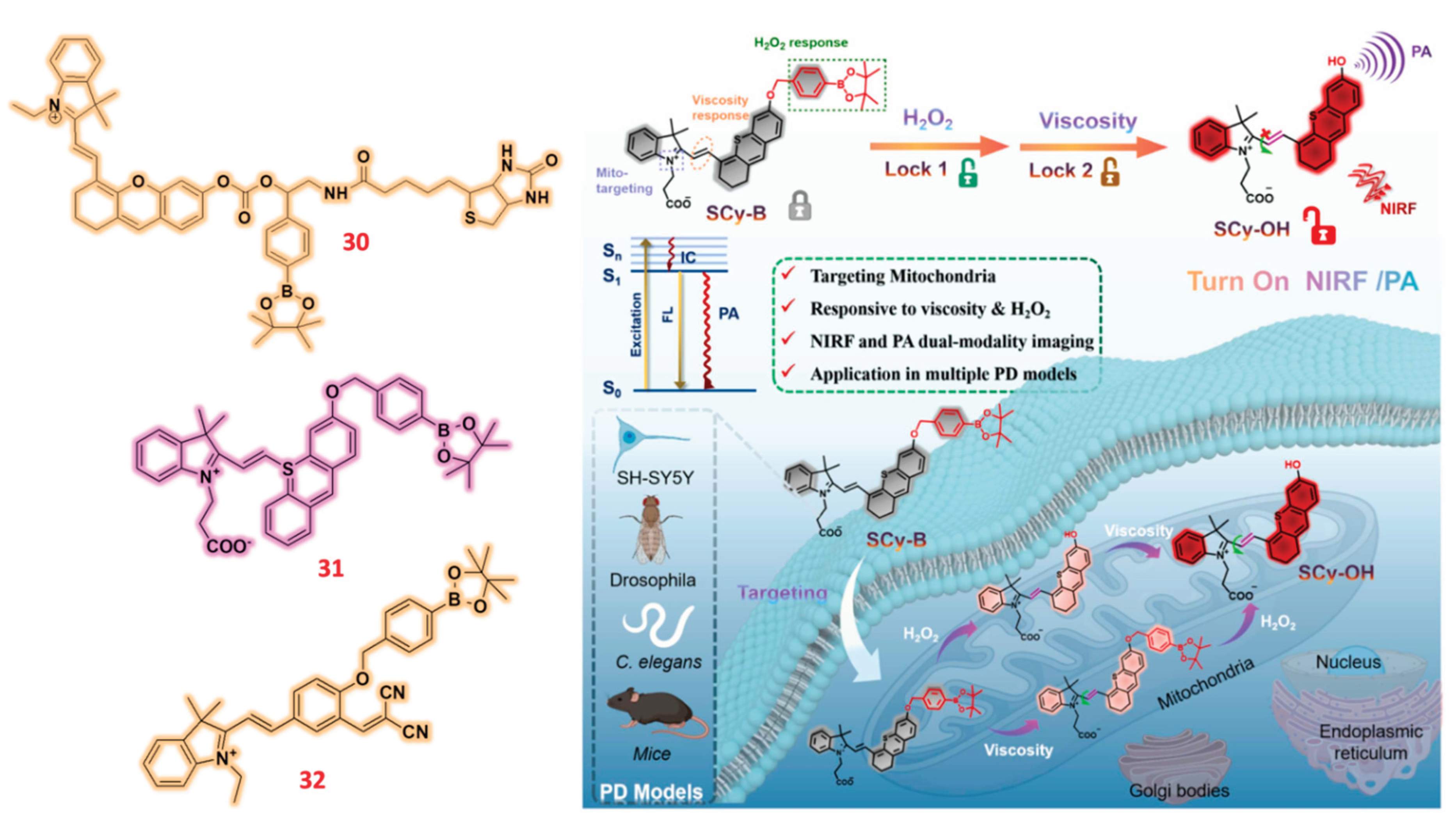 Preprints 166557 g010