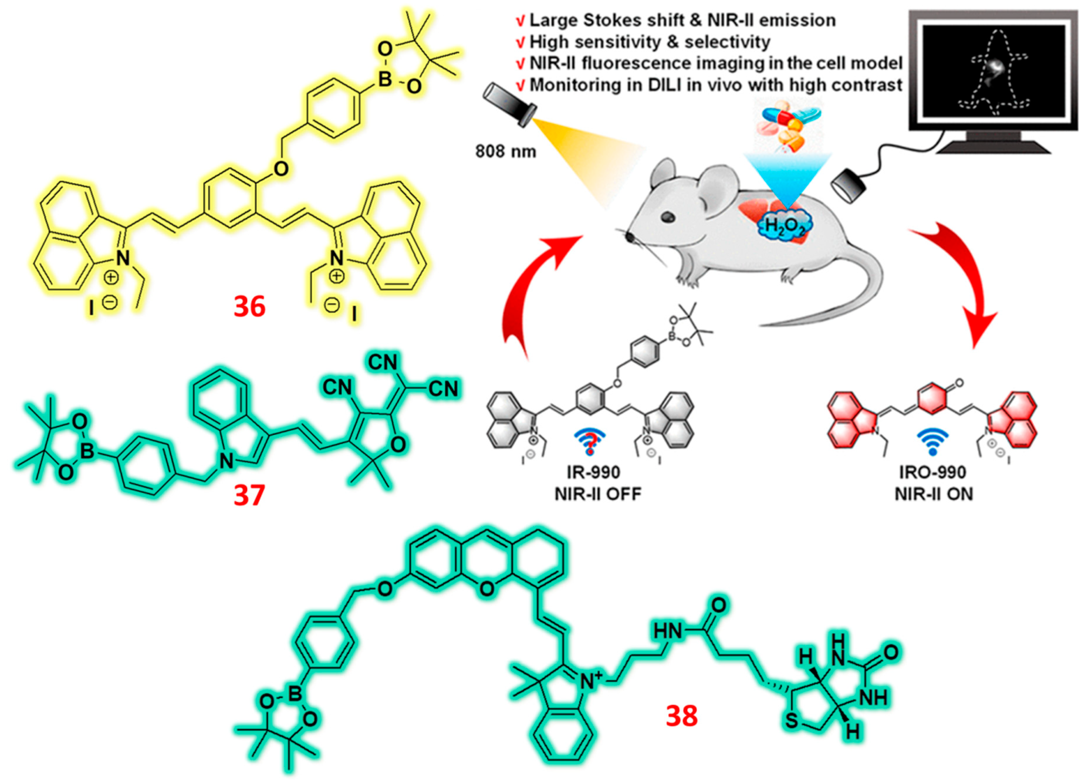 Preprints 166557 g012