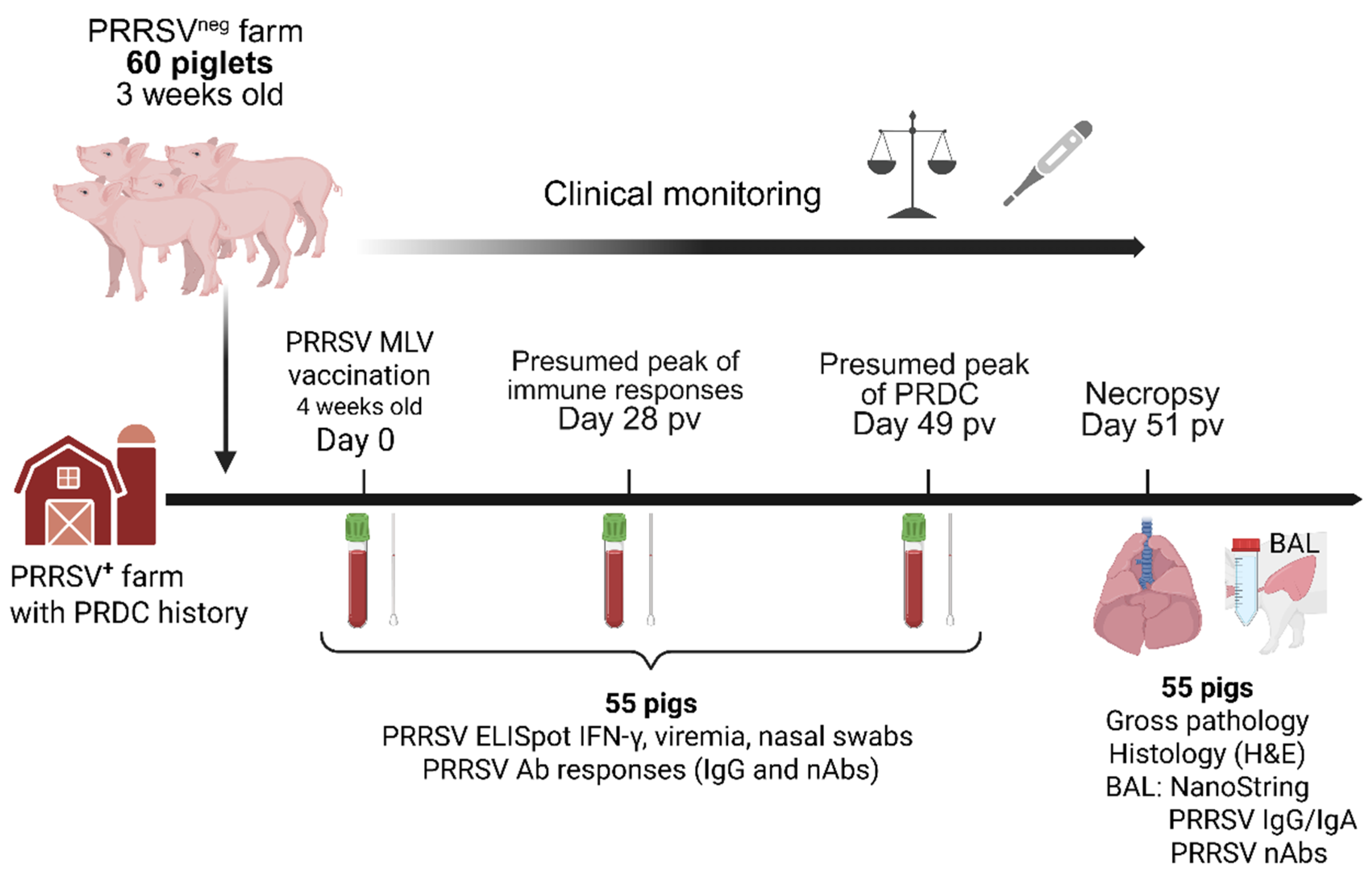 Preprints 163562 g001