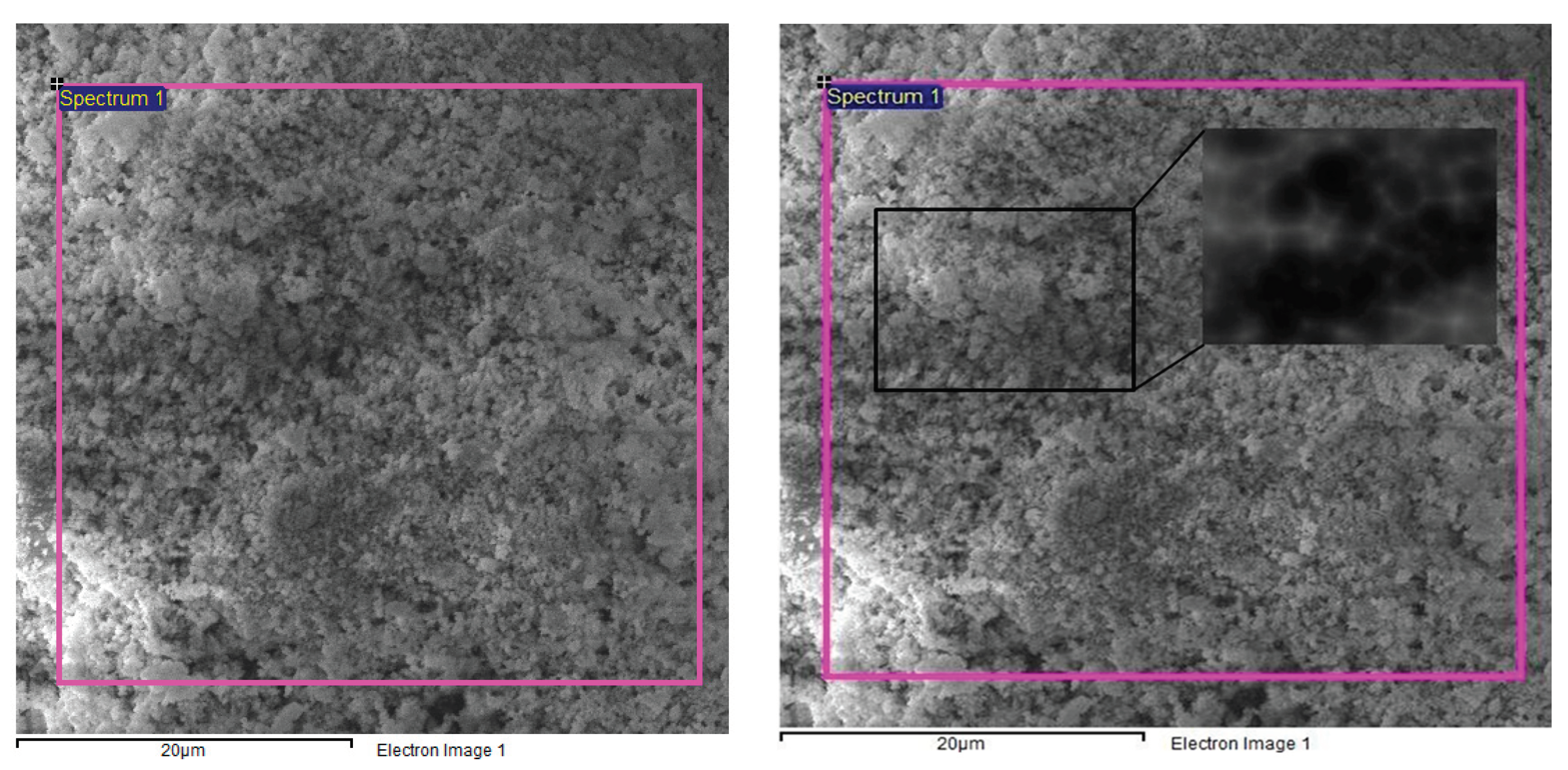 Preprints 100524 g002