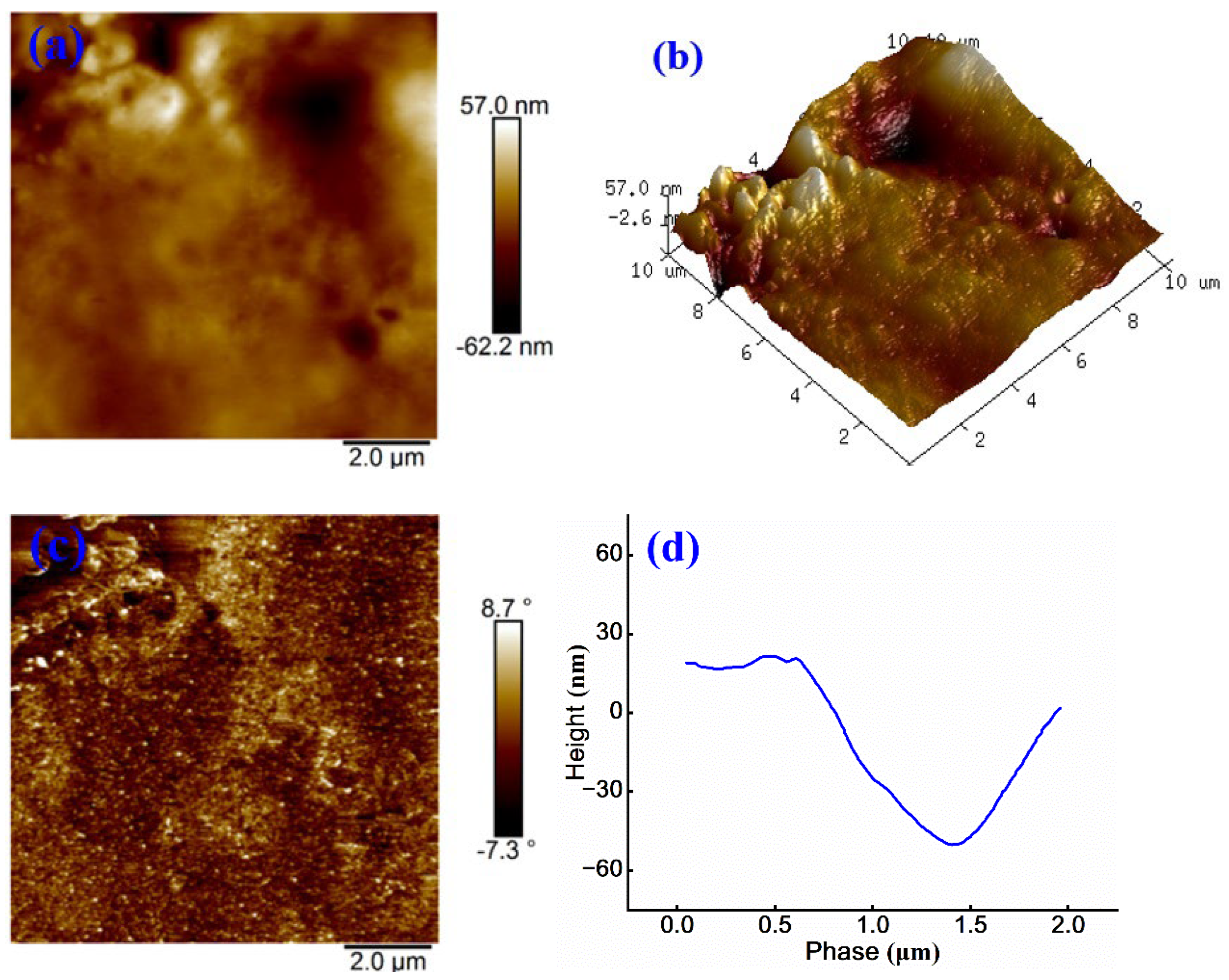 Preprints 163081 g007