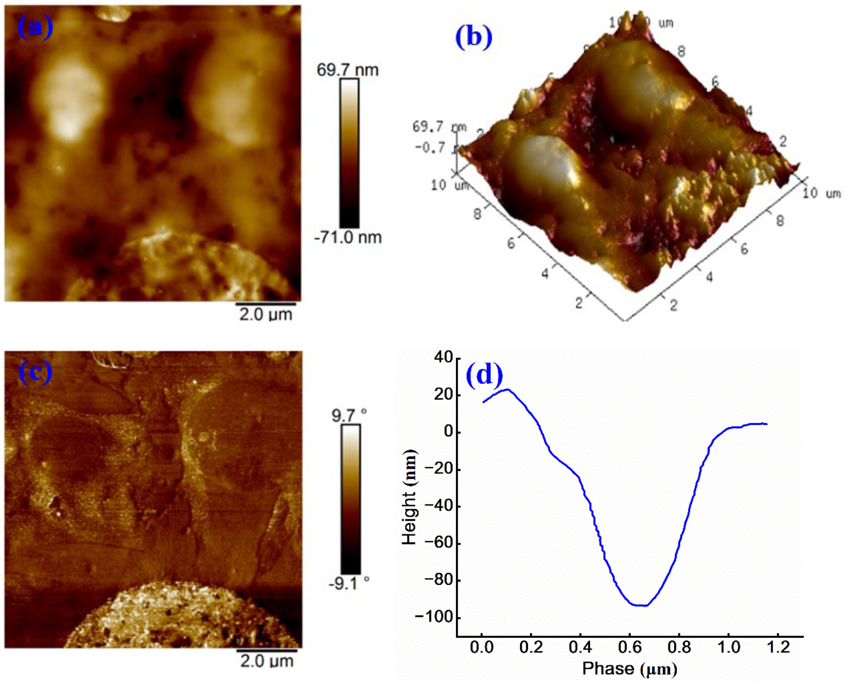 Preprints 163081 g010