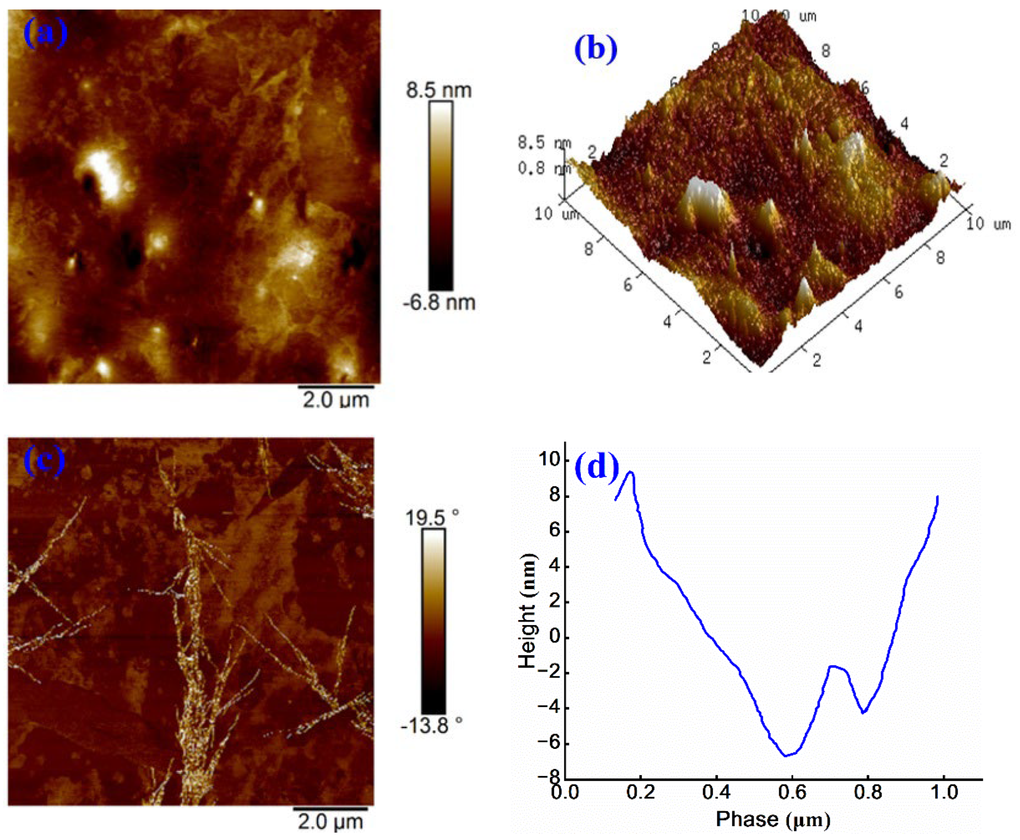Preprints 163081 g011