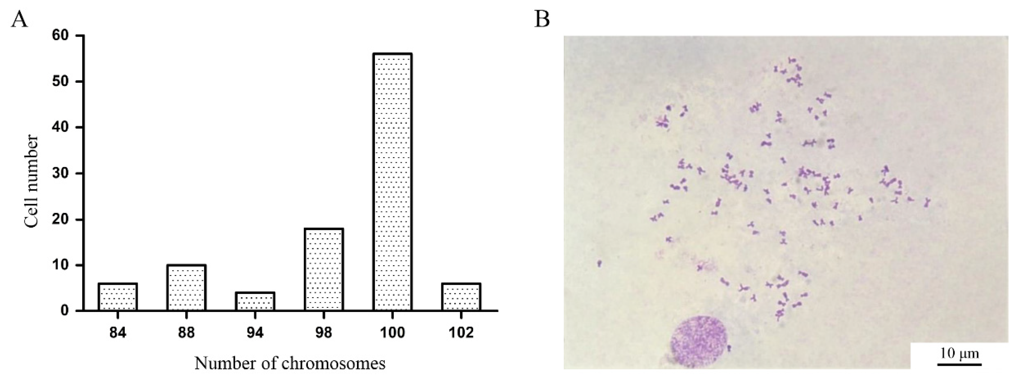 Preprints 191911 g003