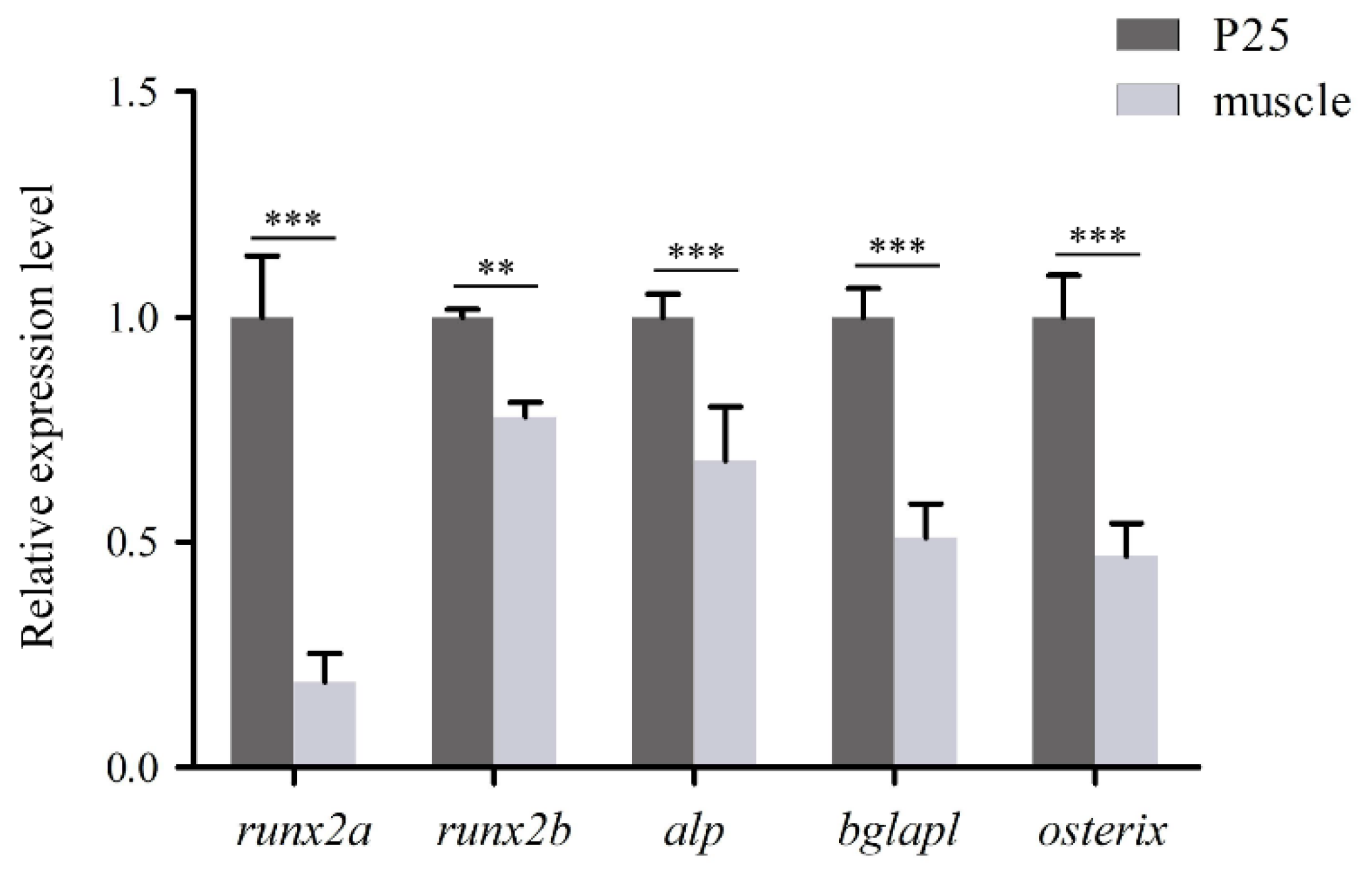 Preprints 191911 g005