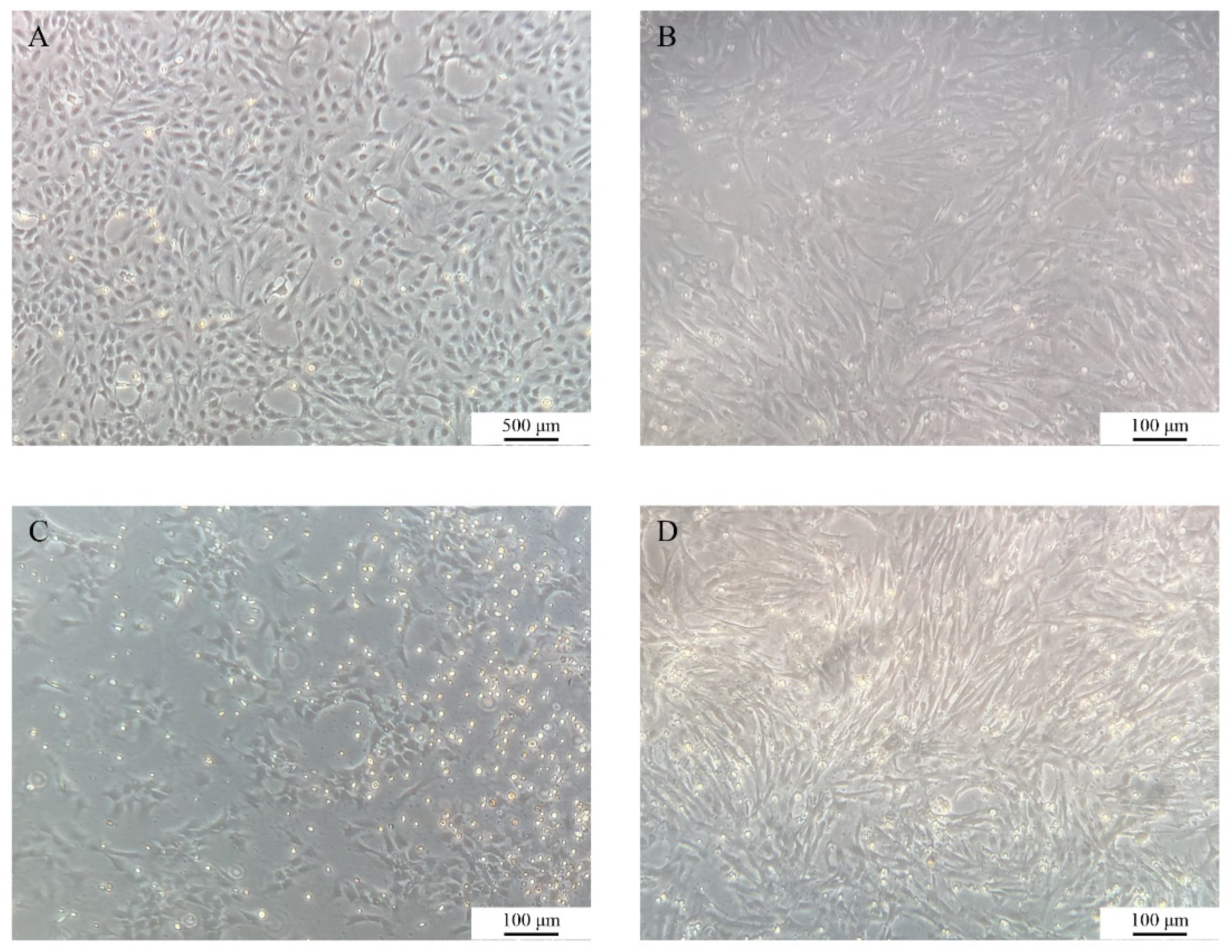 Preprints 191911 g006