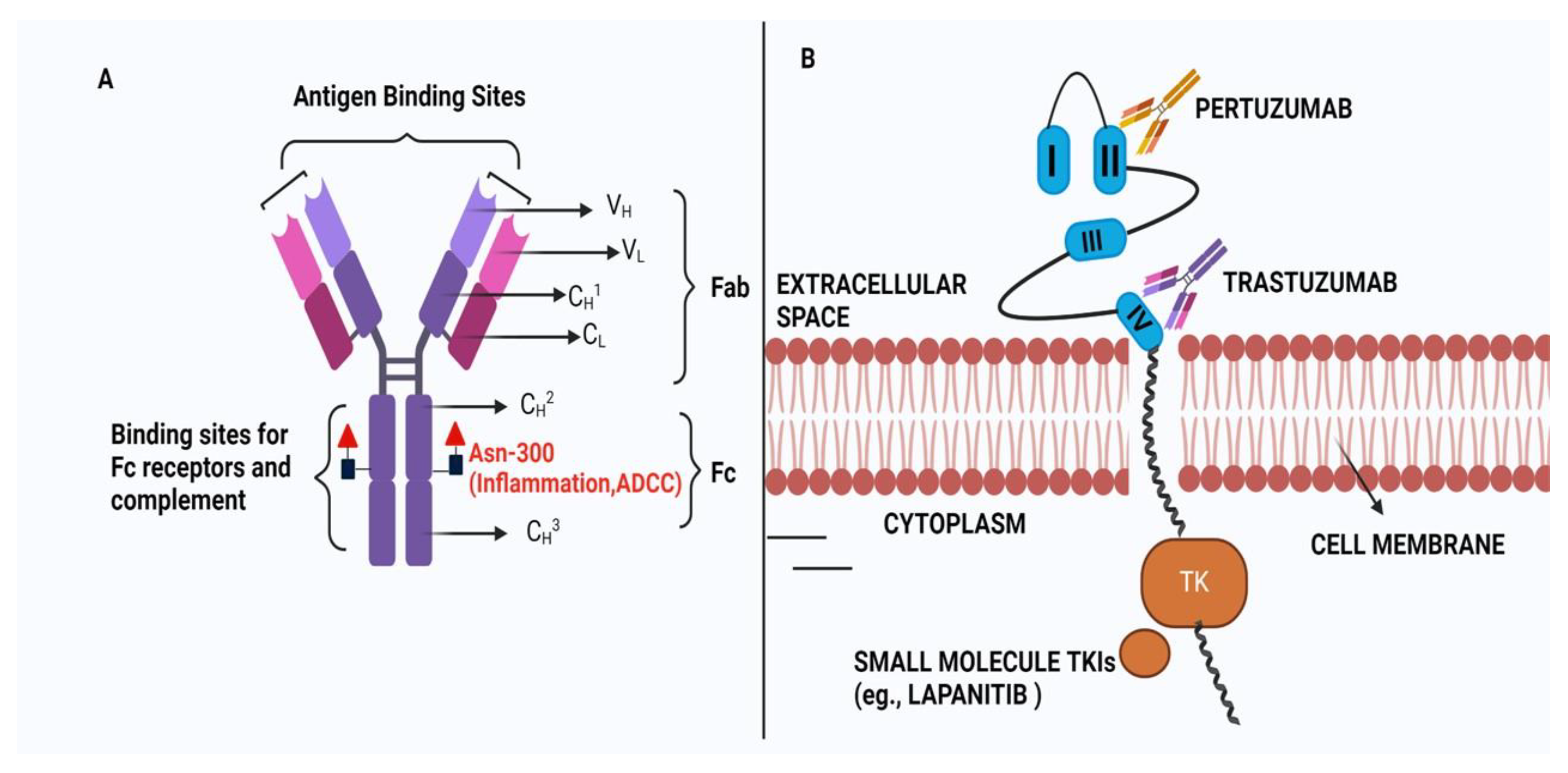 Preprints 149395 g002
