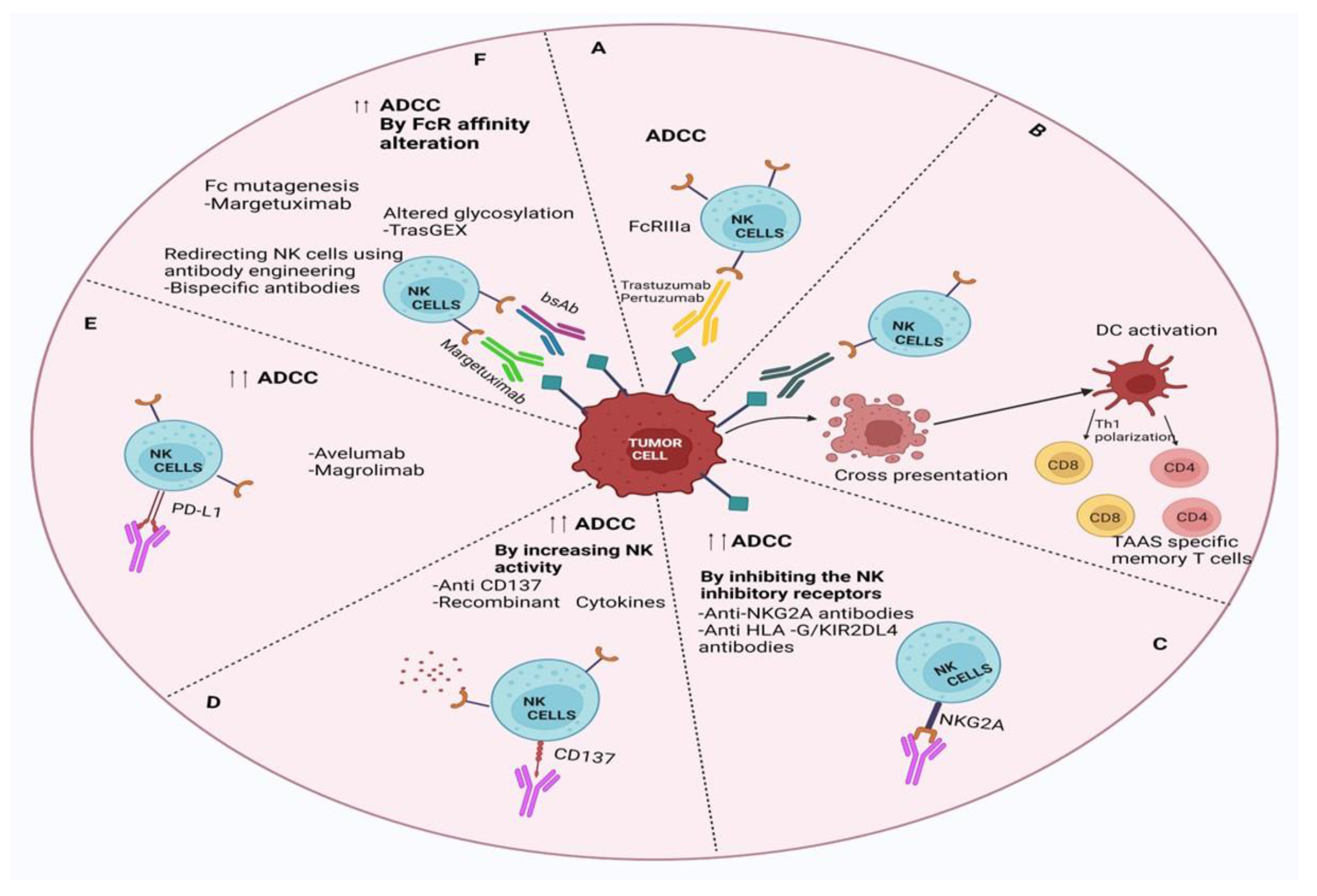 Preprints 149395 g003