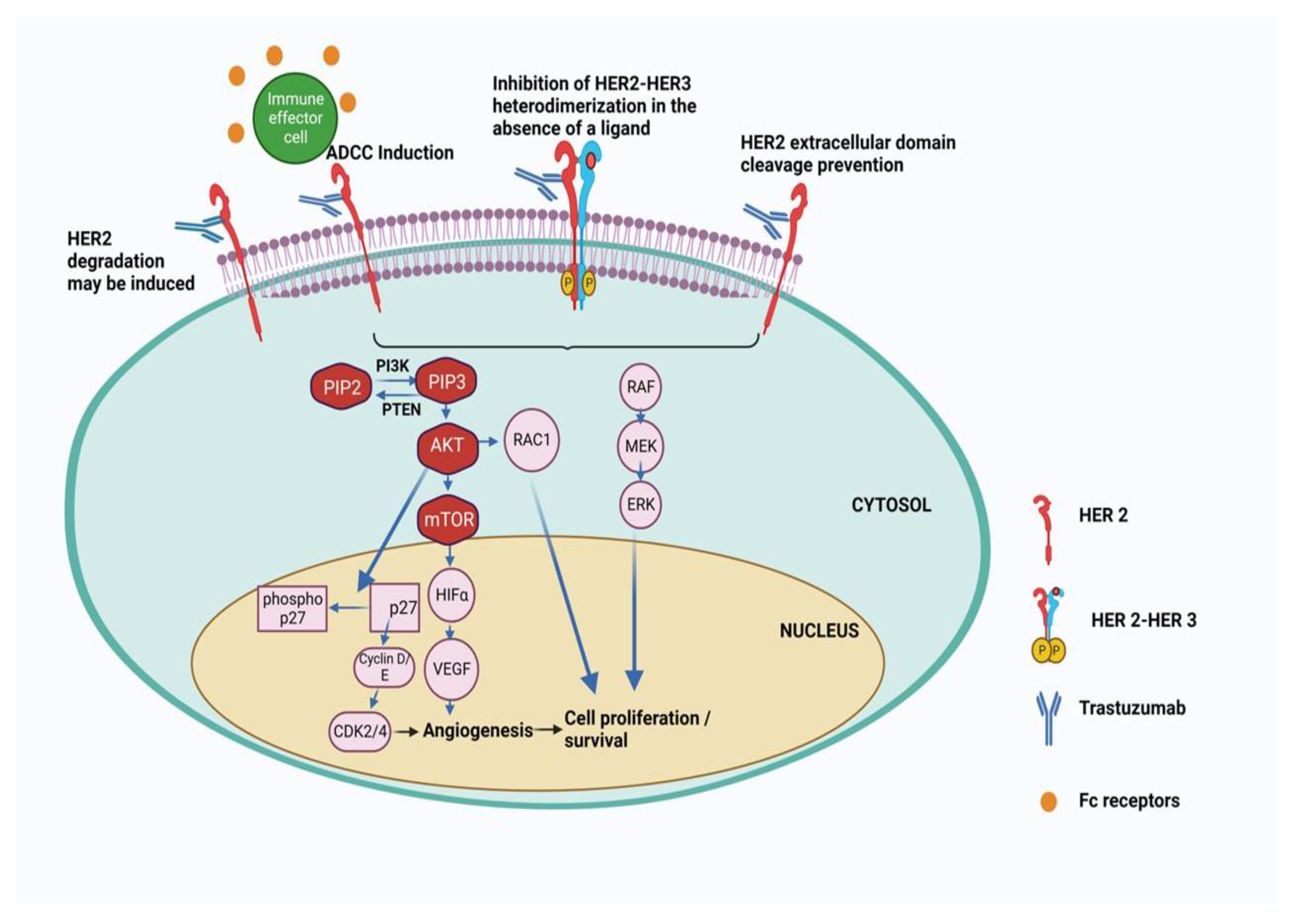 Preprints 149395 g004