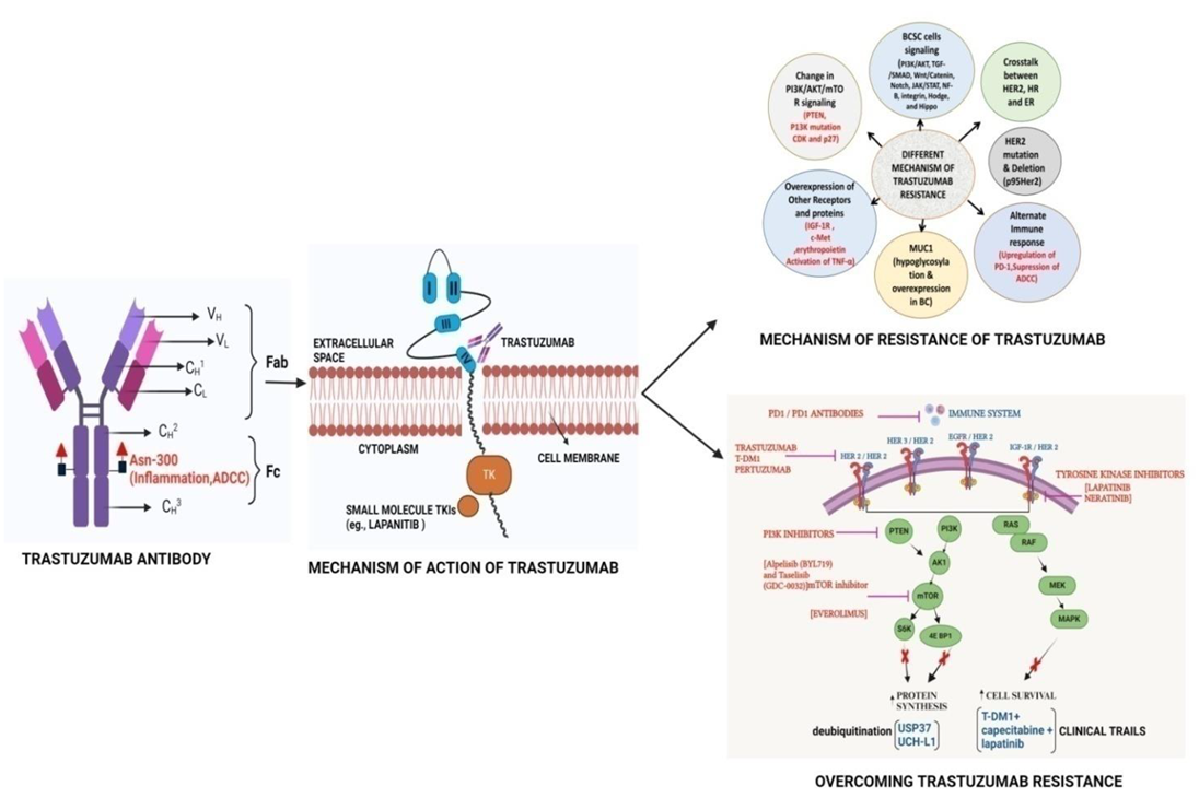 Preprints 149395 i001