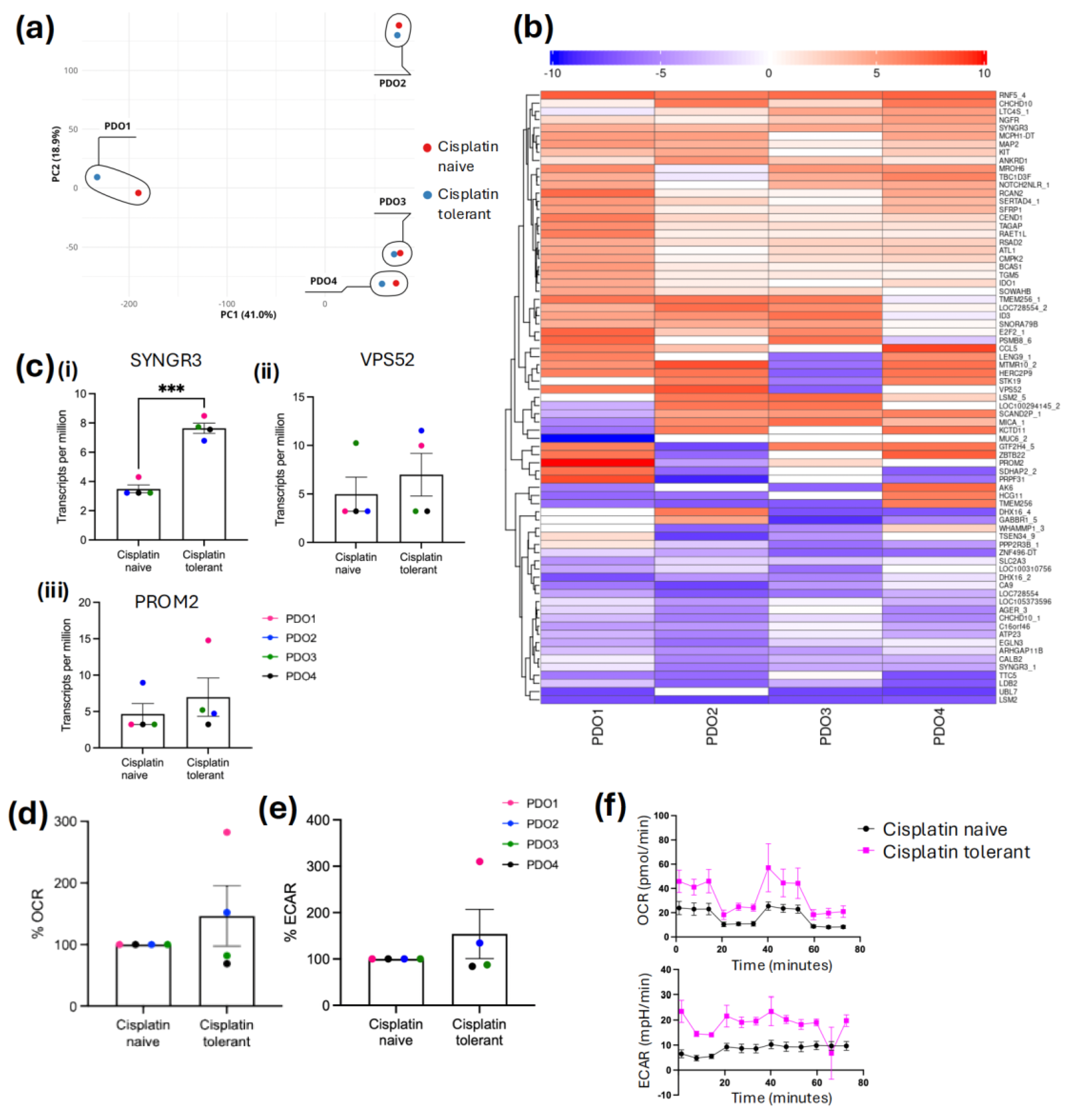 Preprints 207972 g003