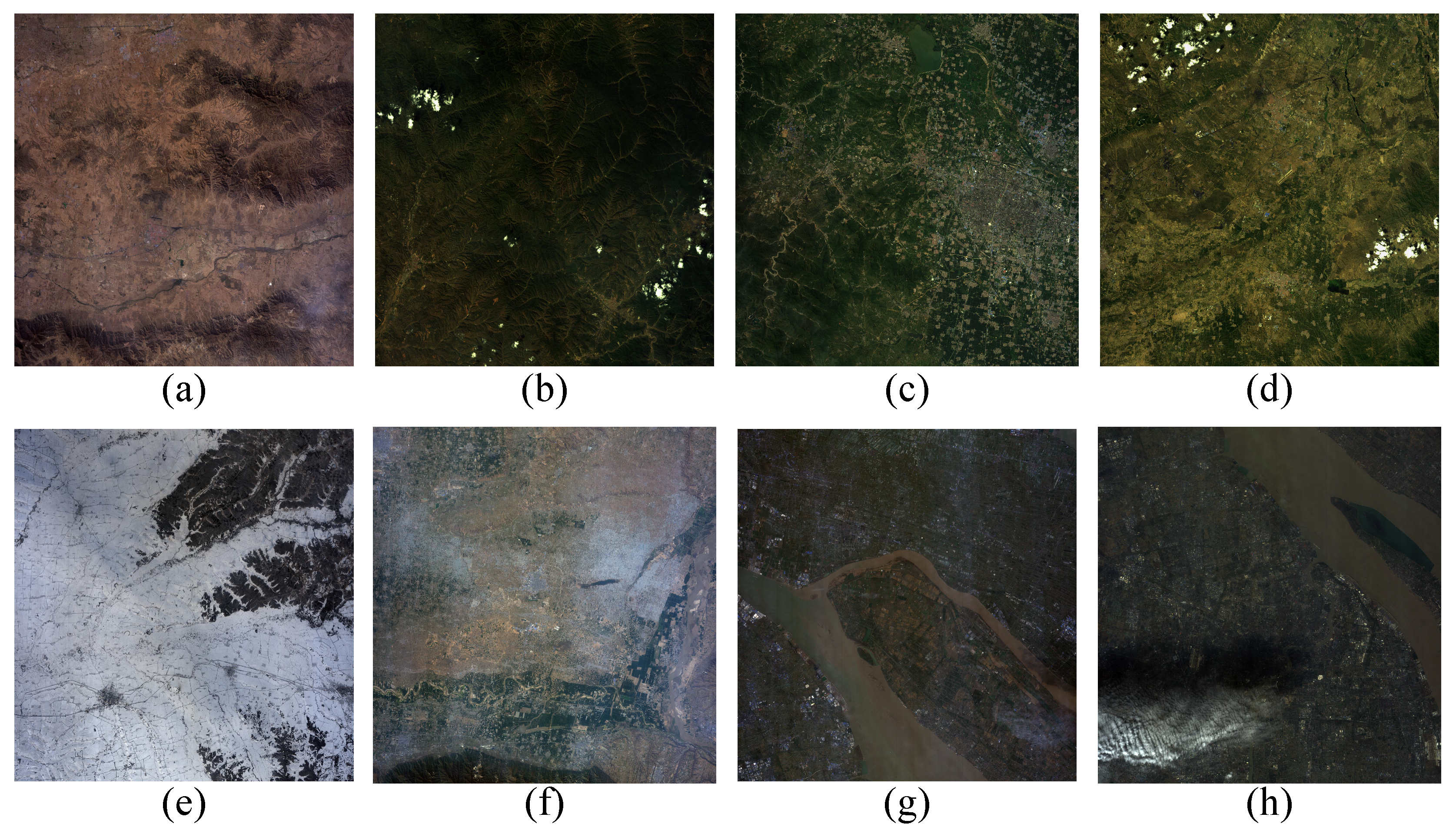 Preprints 84521 g006