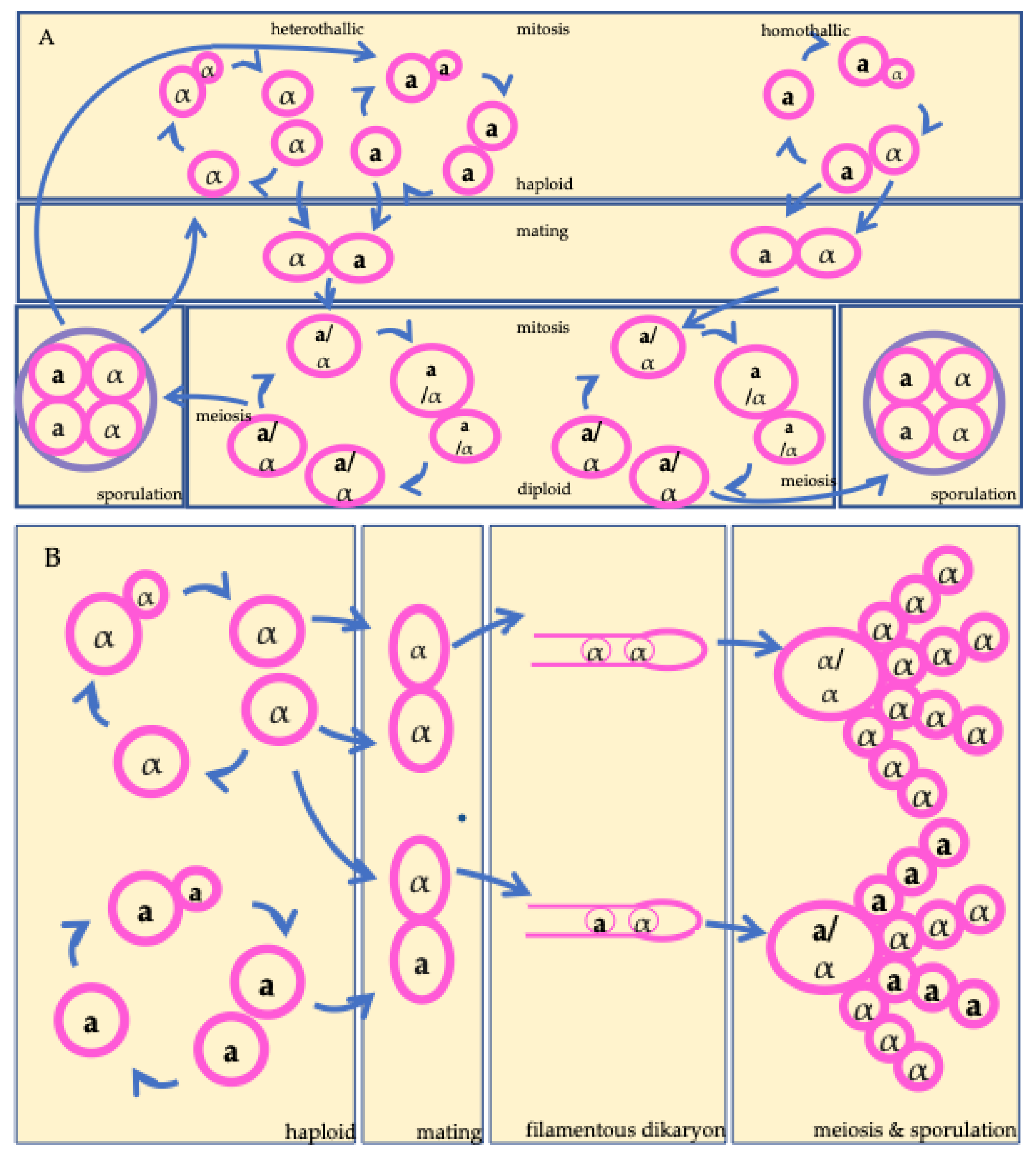 Preprints 192275 g001