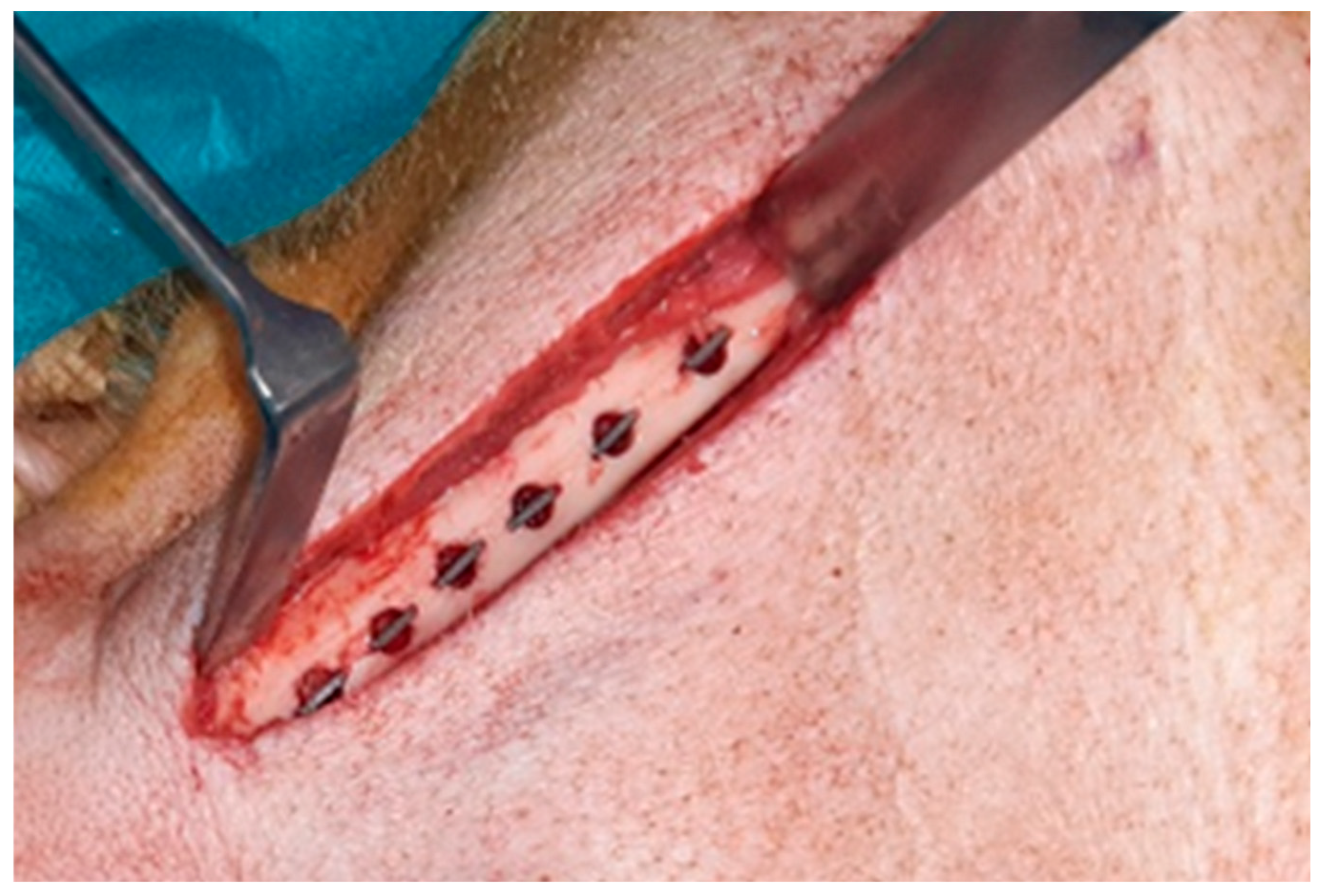 Preprints 145395 g001